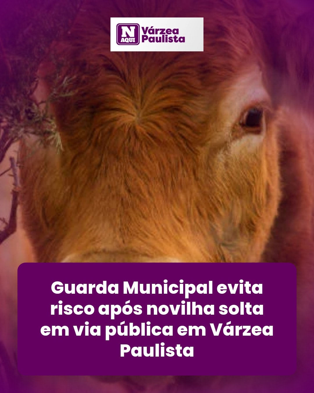 cliente_1-1775568438486.jpg