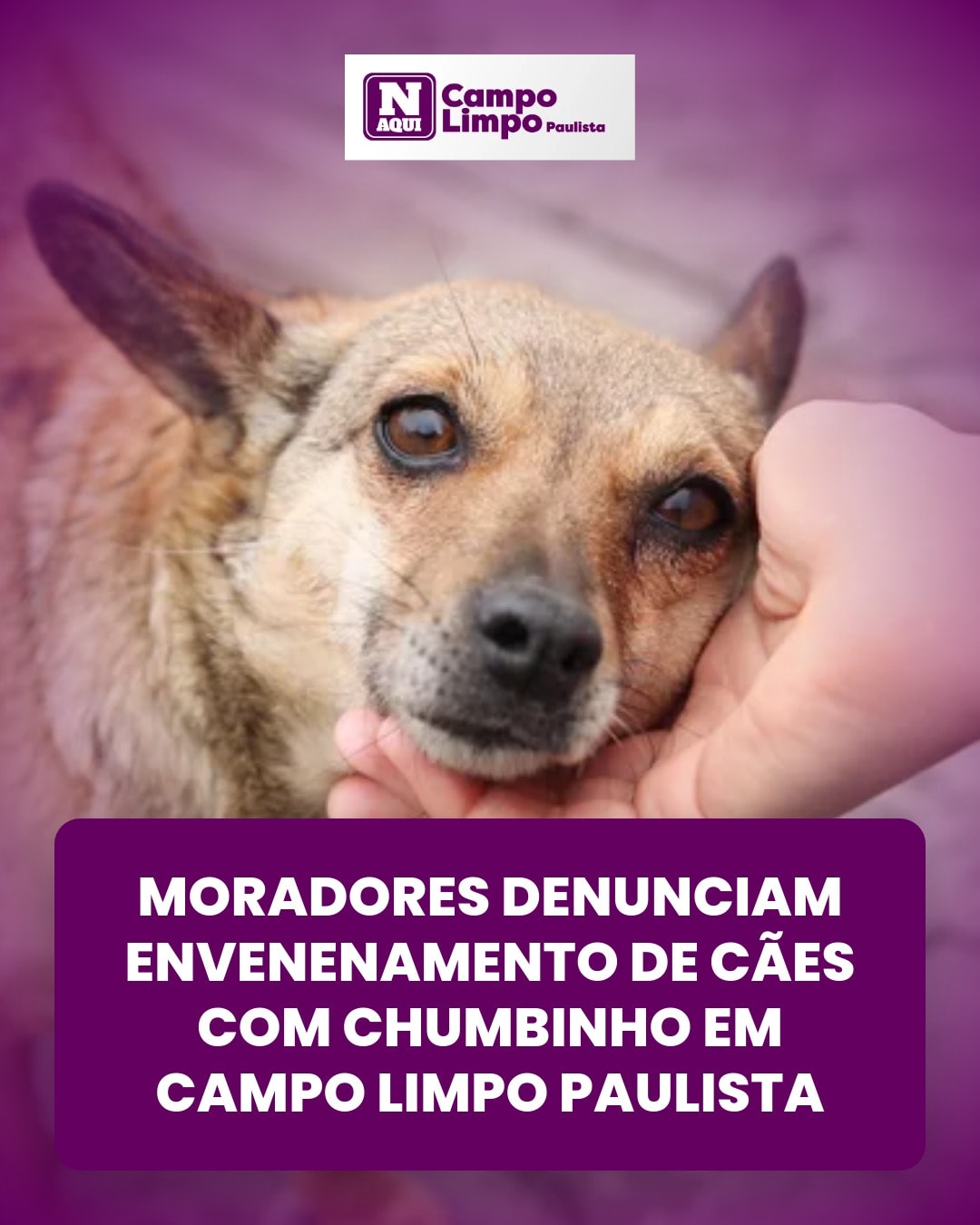 cliente_1-1775583919580.jpg