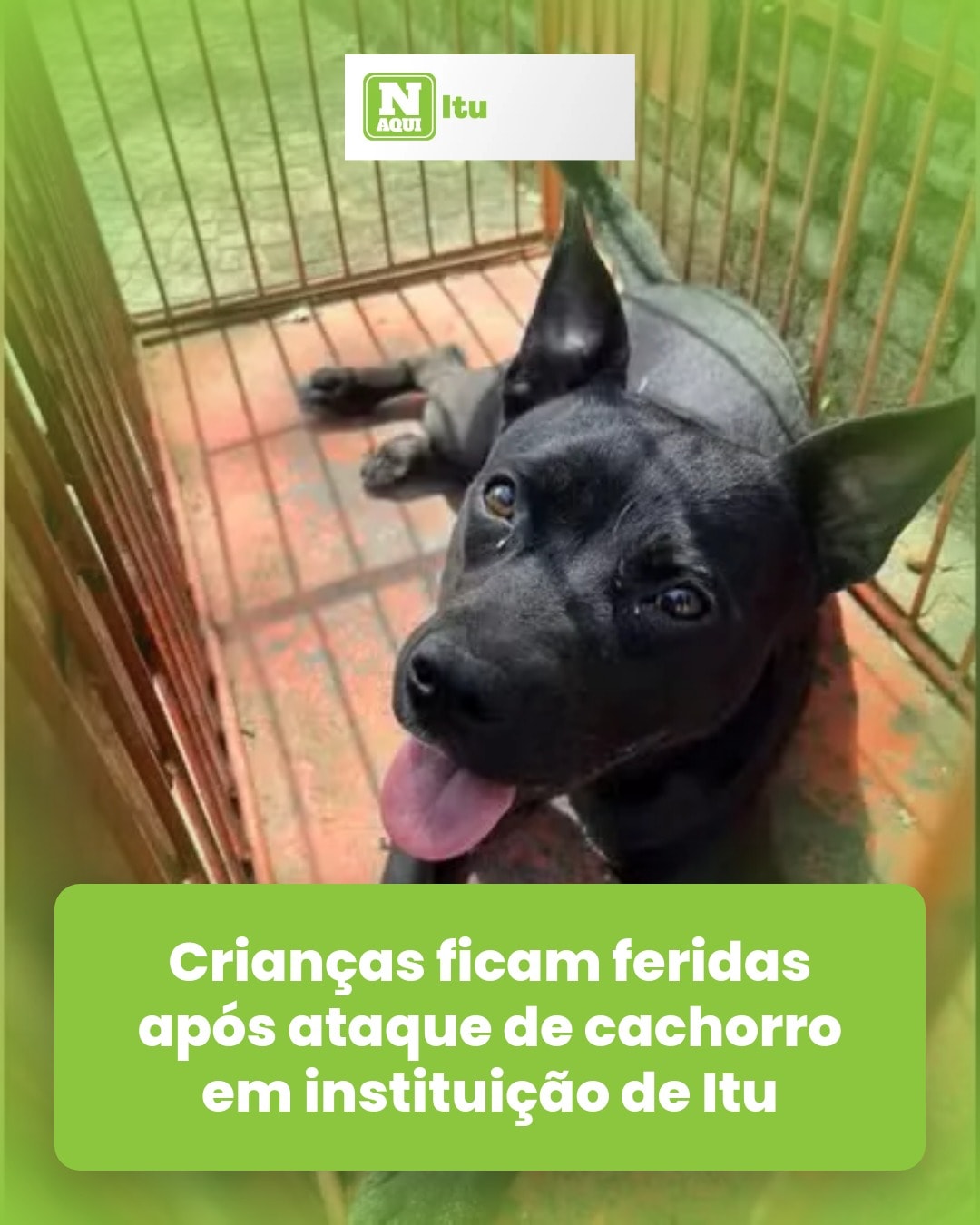cliente_1-1775658563889.jpg
