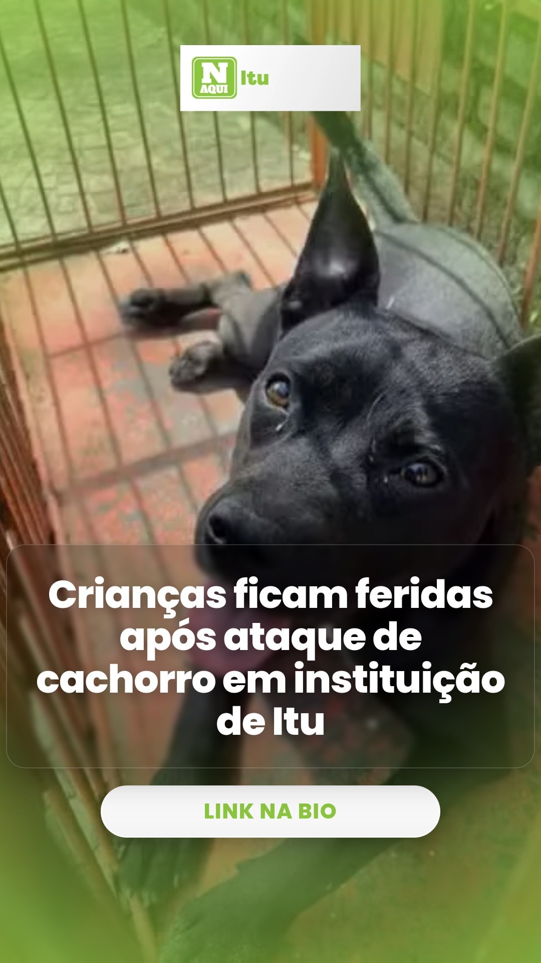 cliente_1-1775658658518.jpg