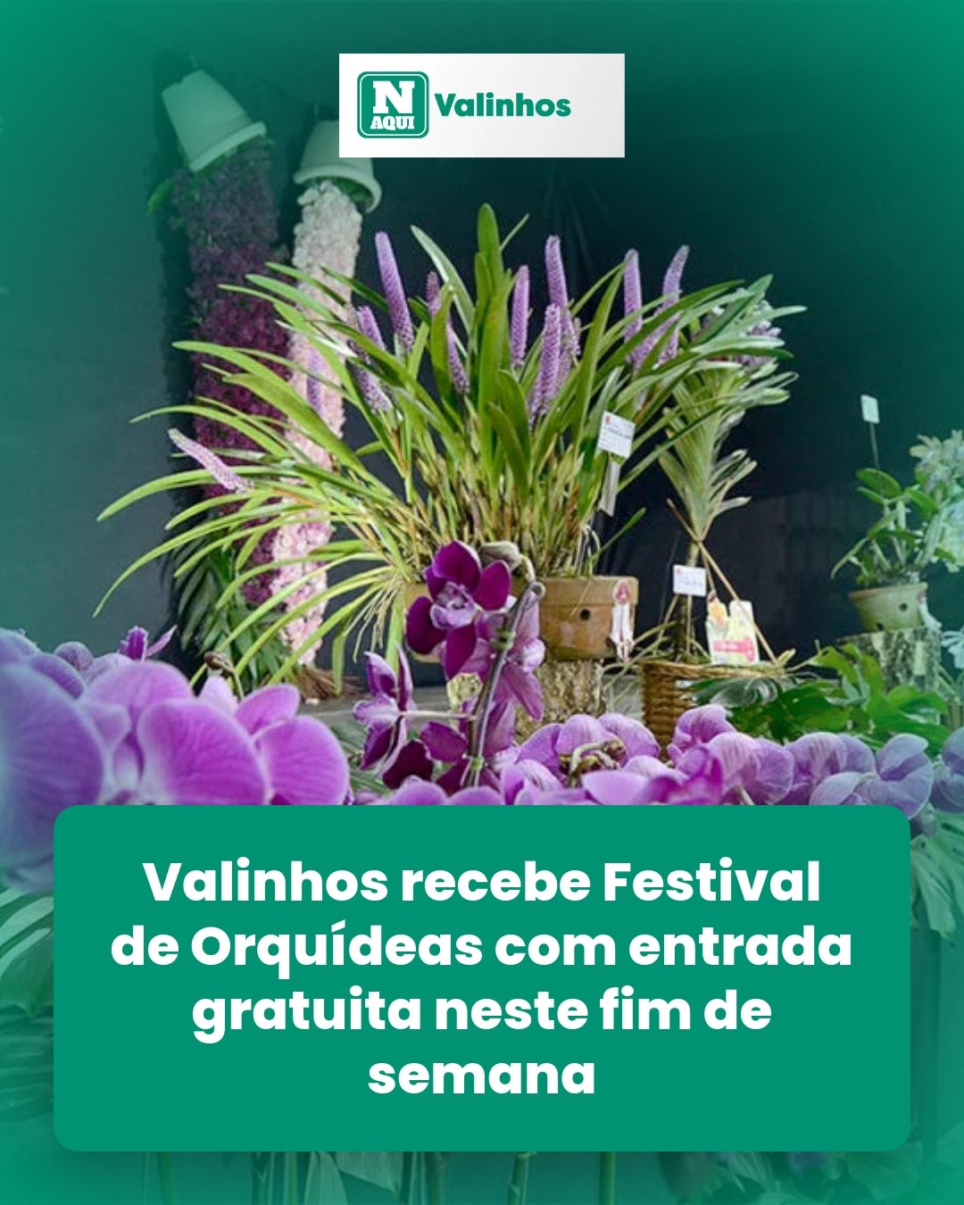 cliente_1-1775671879220.jpg