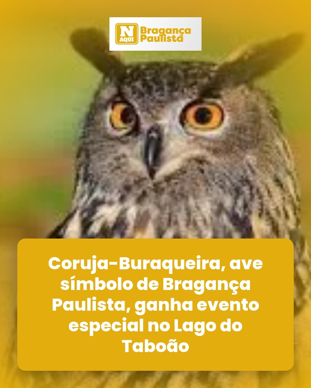 cliente_1-1775674161662.jpg