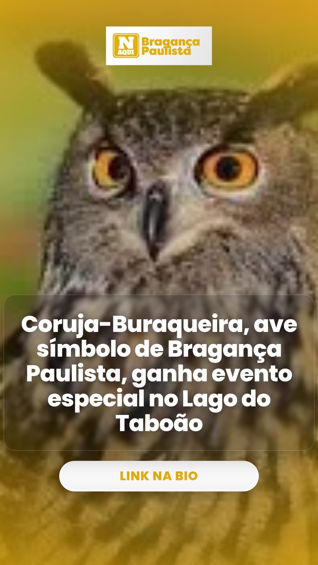 cliente_1-1775674258249.jpg