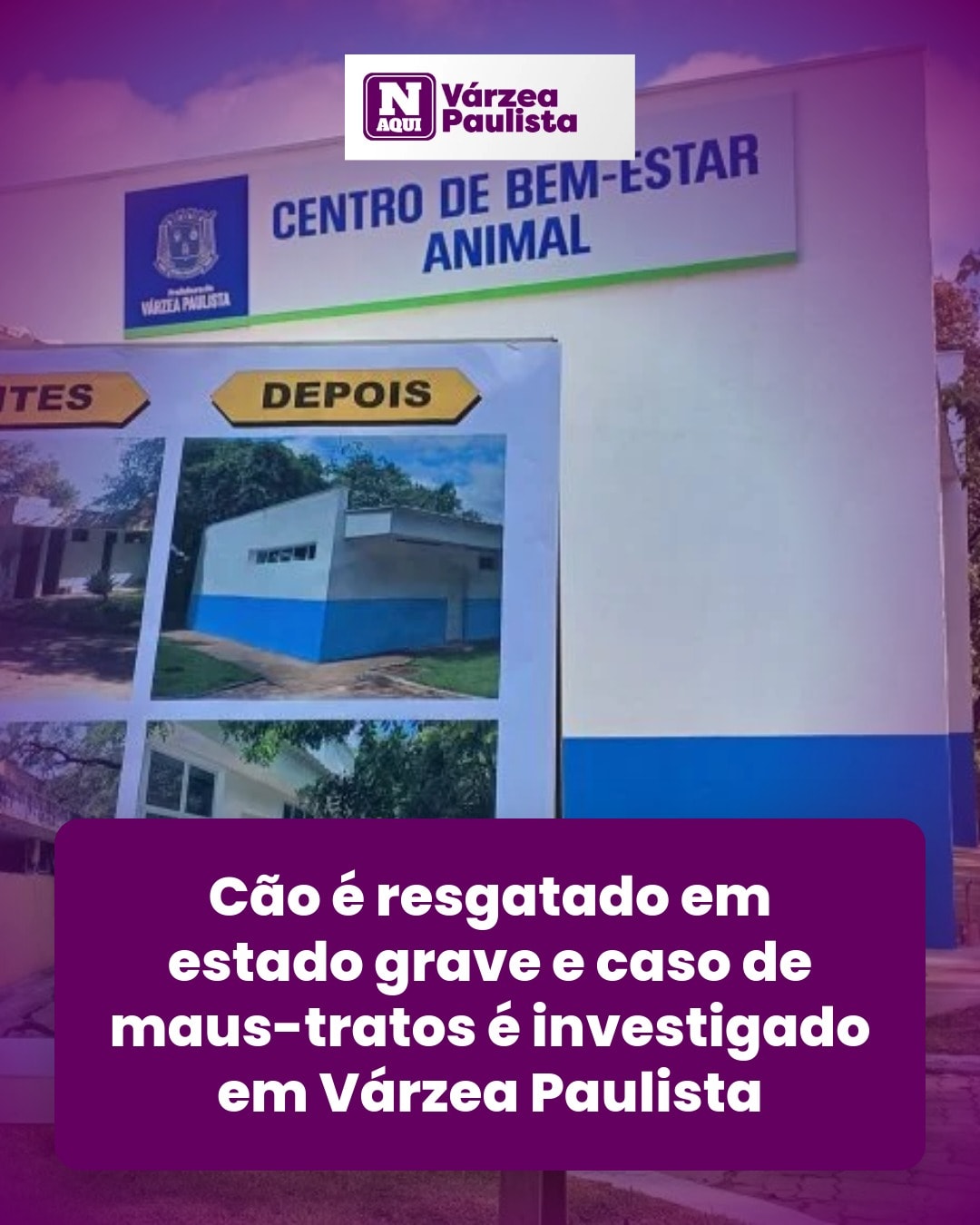 cliente_1-1775951379027.jpg