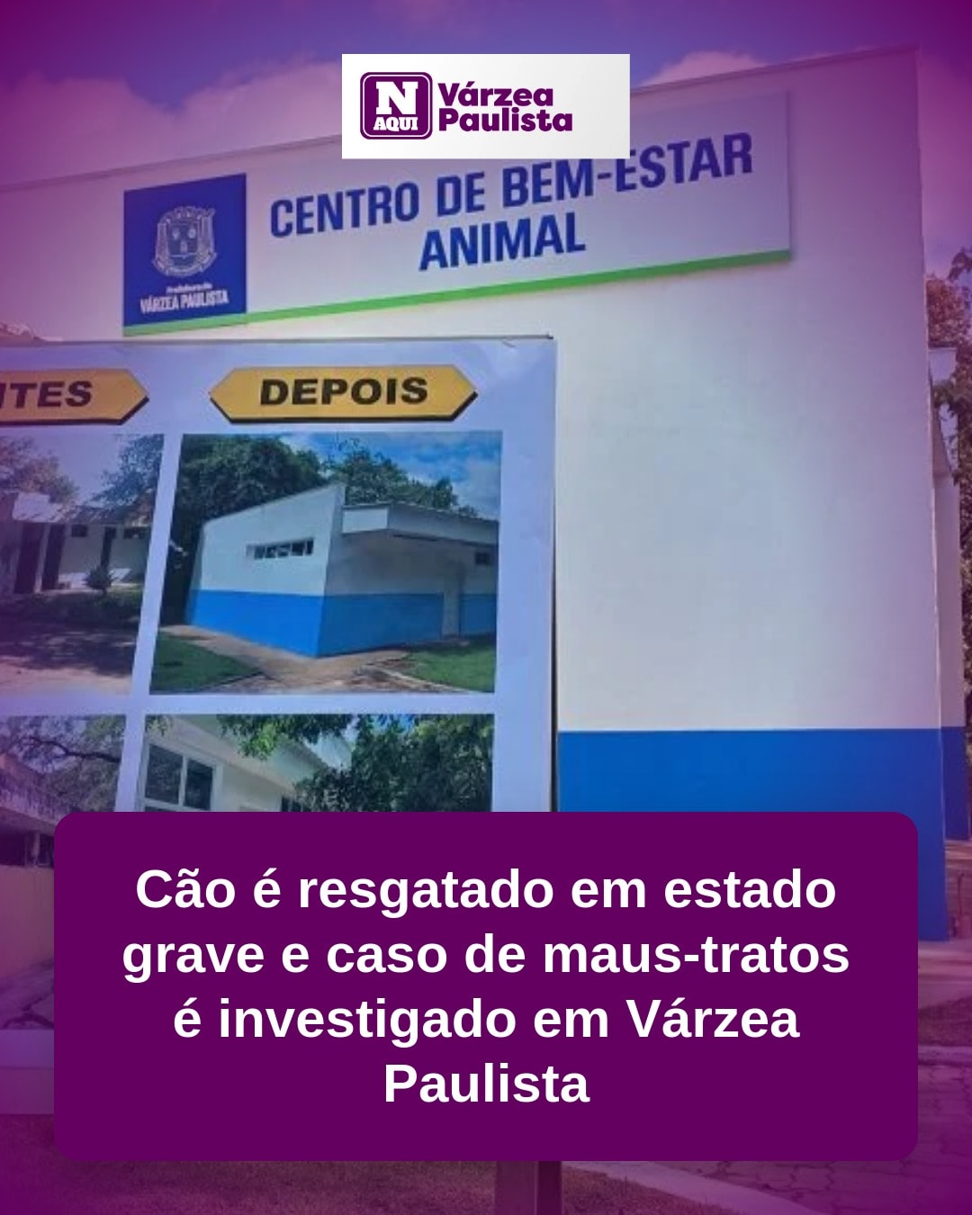 cliente_1-1775951515367.jpg