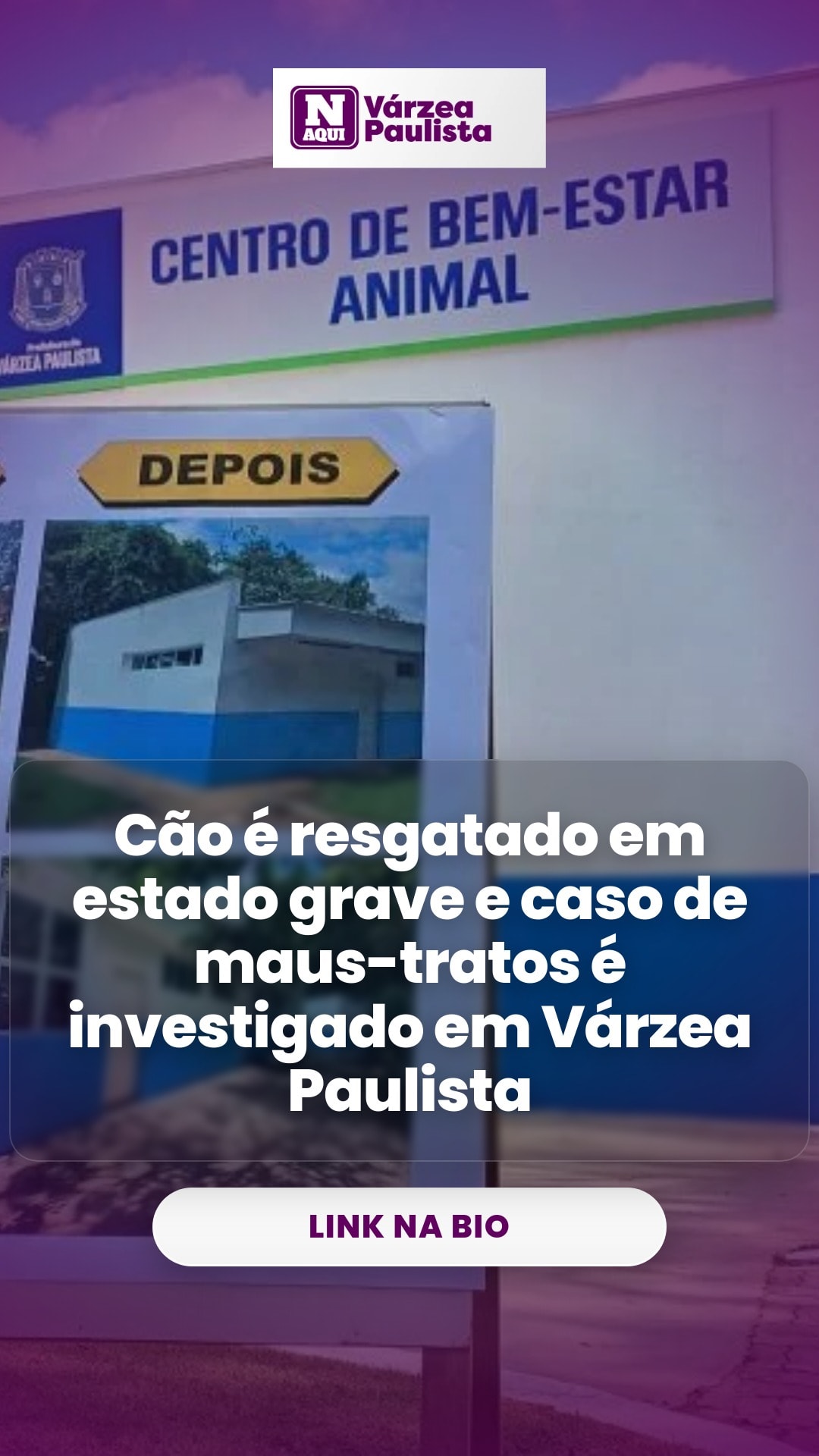 cliente_1-1775951583568.jpg