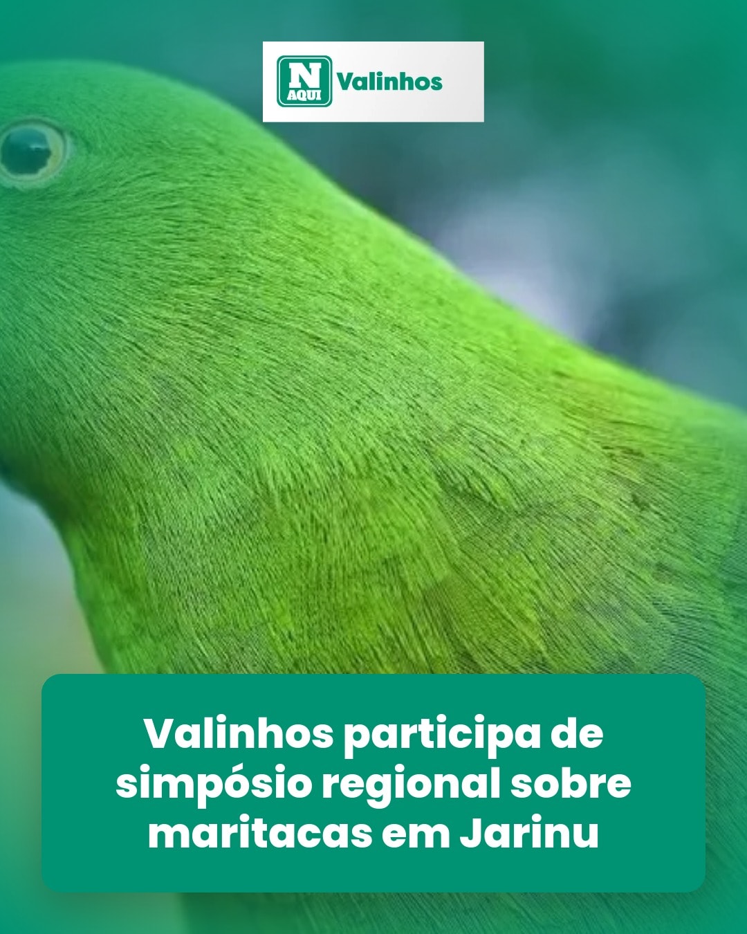 cliente_1-1776037113955.jpg