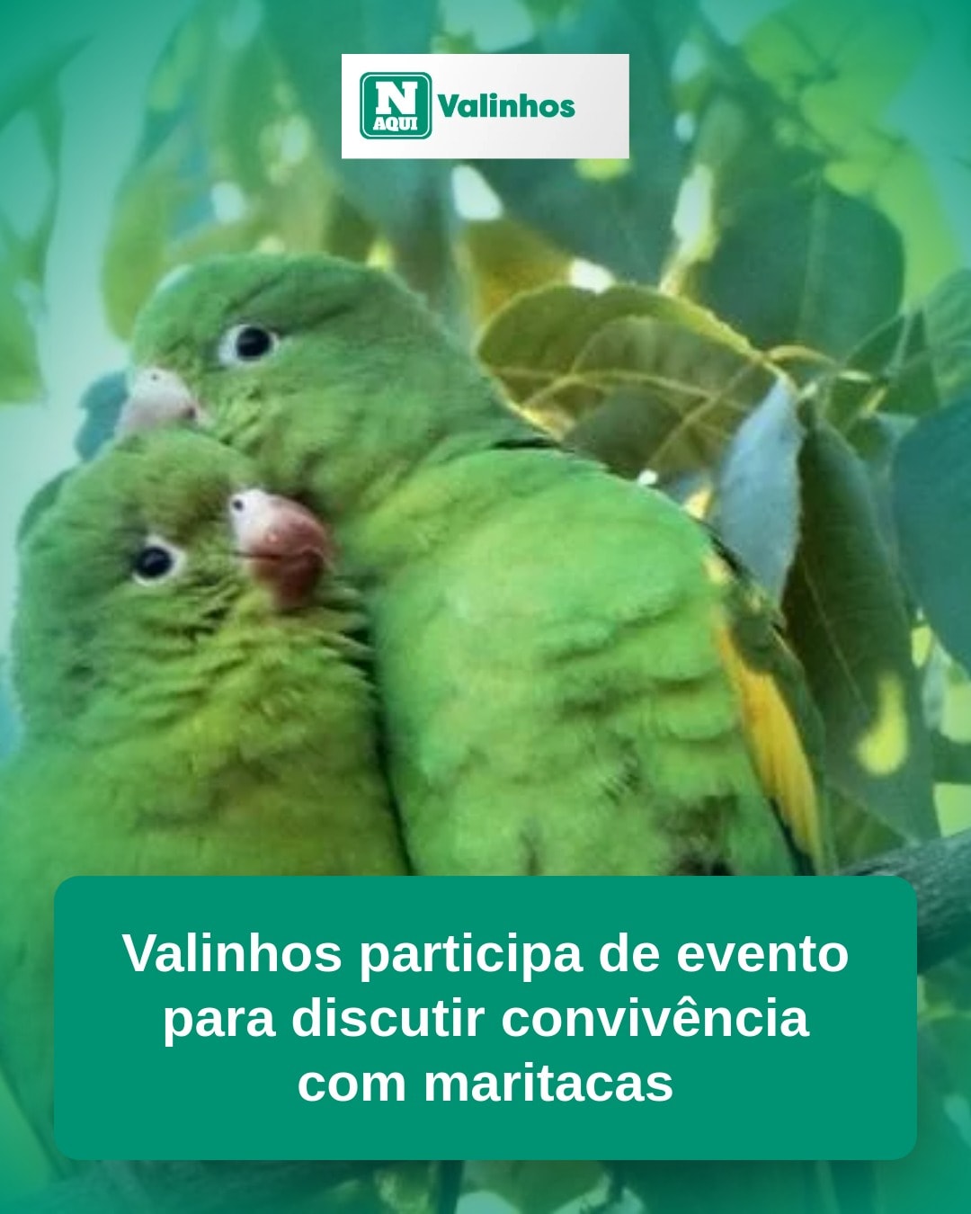 cliente_1-1776041014200.jpg