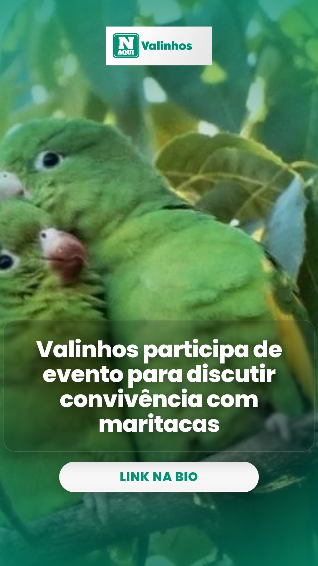 cliente_1-1776041032871.jpg