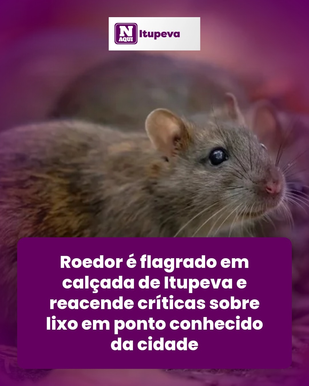cliente_1-1776087453633.jpg