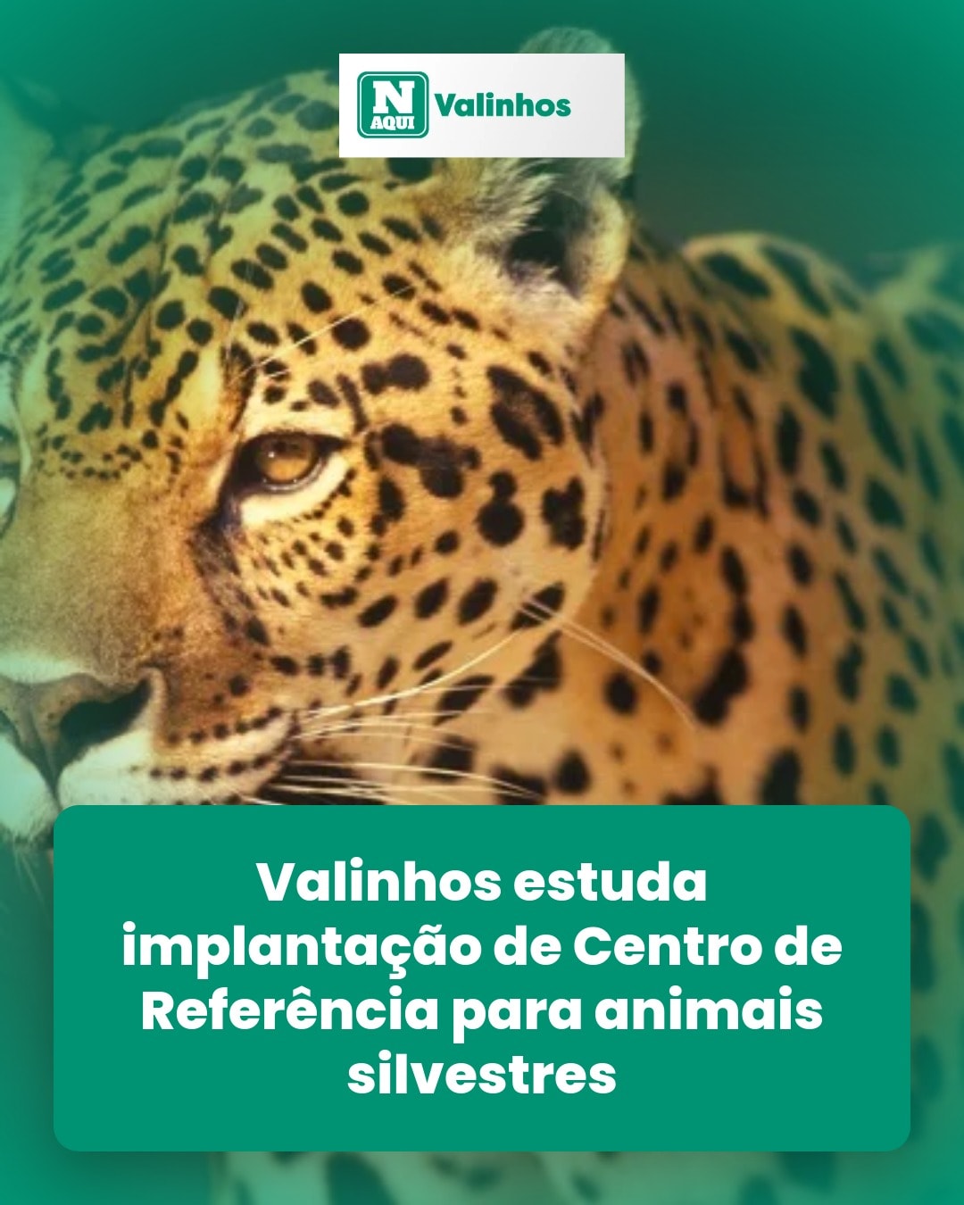 cliente_1-1776108694674.jpg