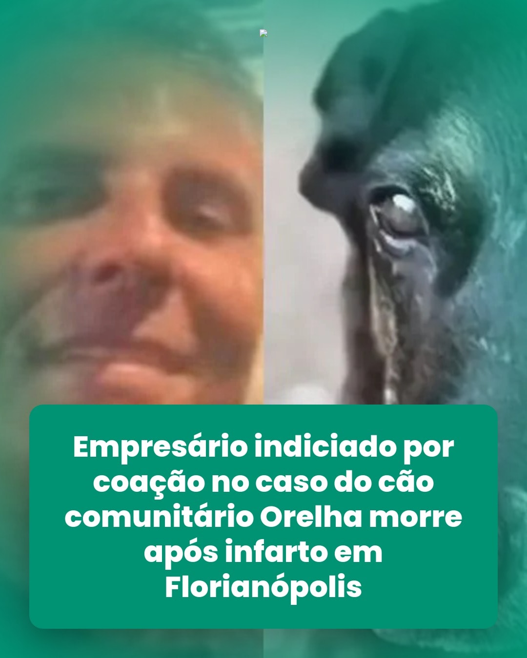 cliente_1-1776115341054.jpg
