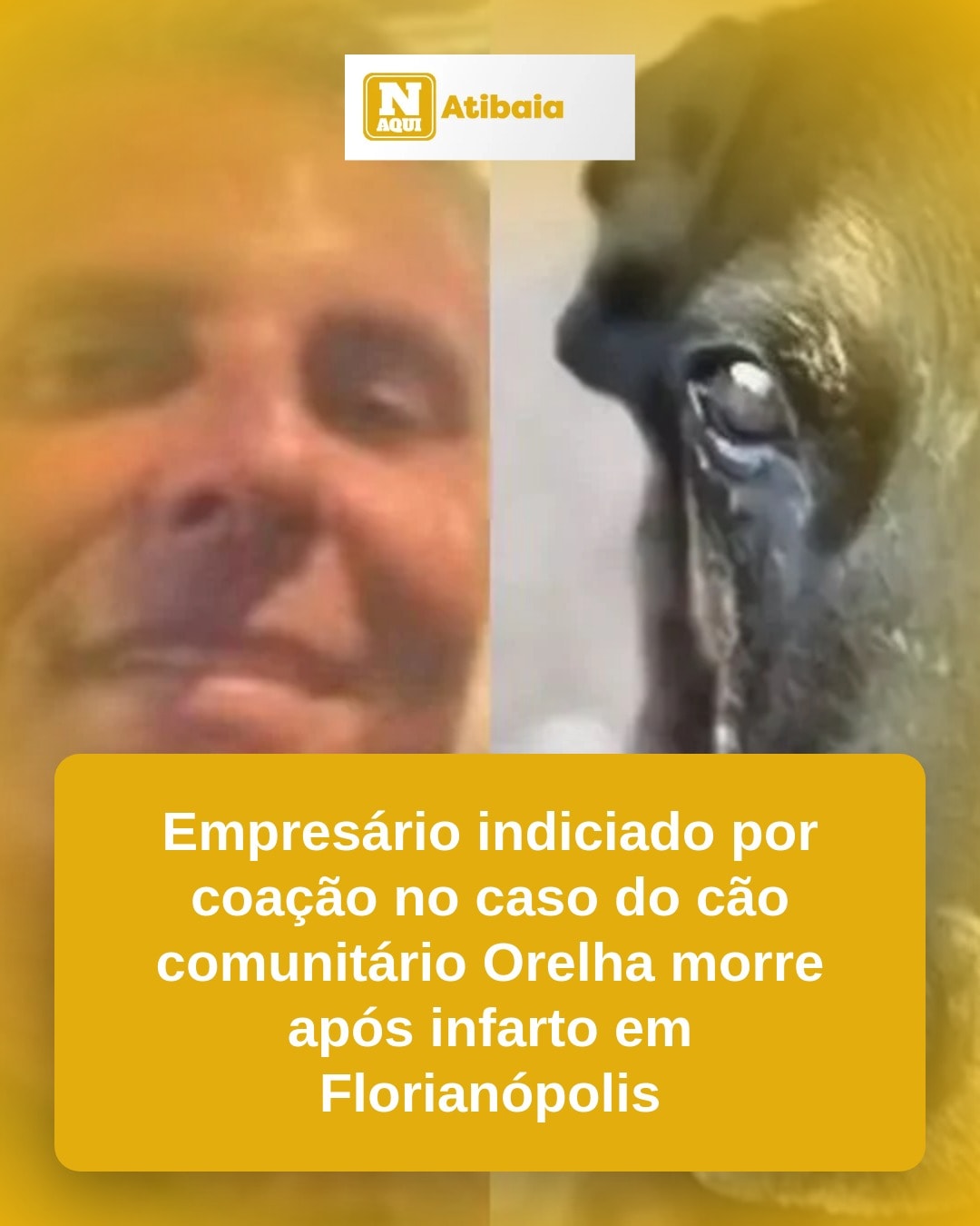 cliente_1-1776120908637.jpg