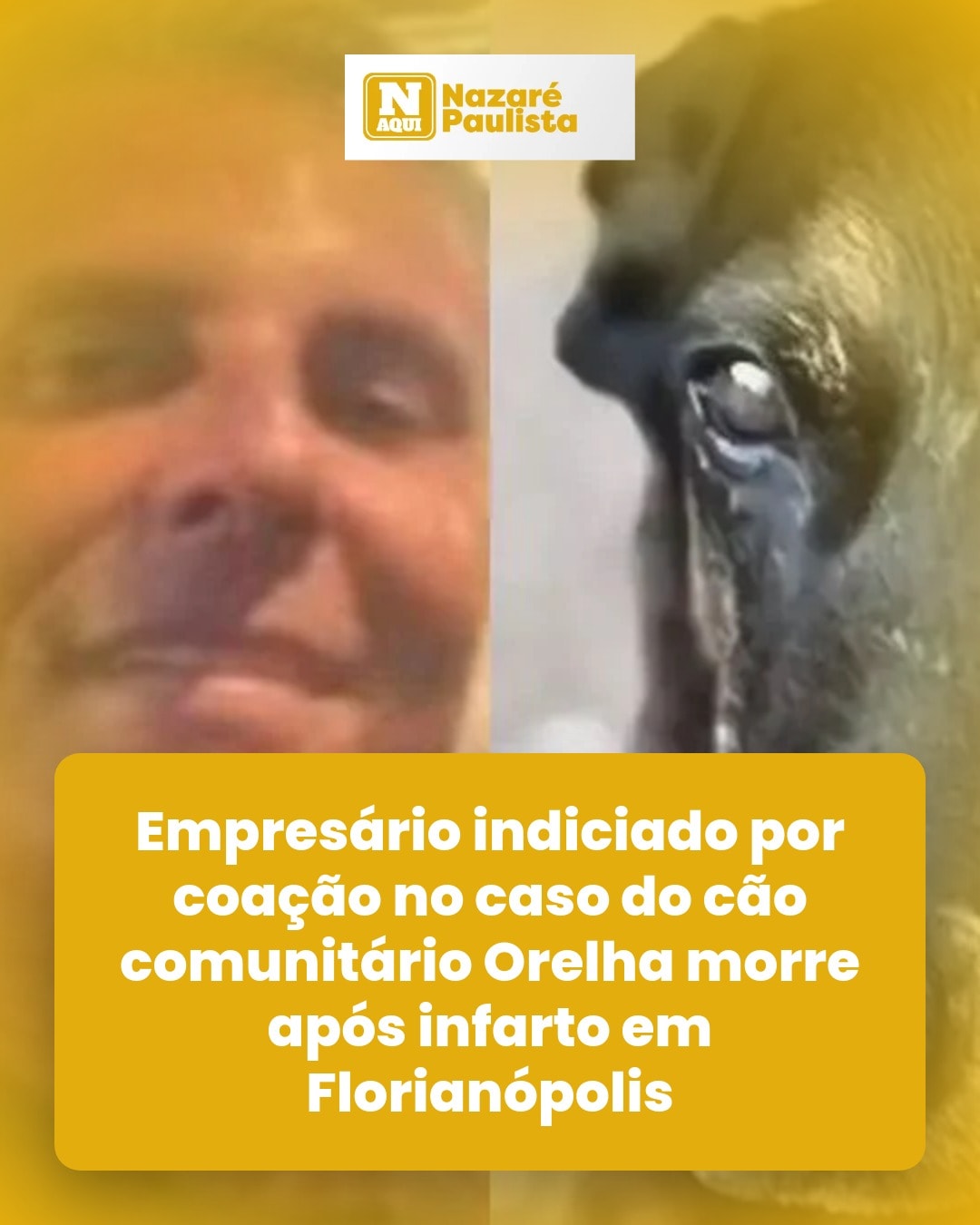 cliente_1-1776122575233.jpg