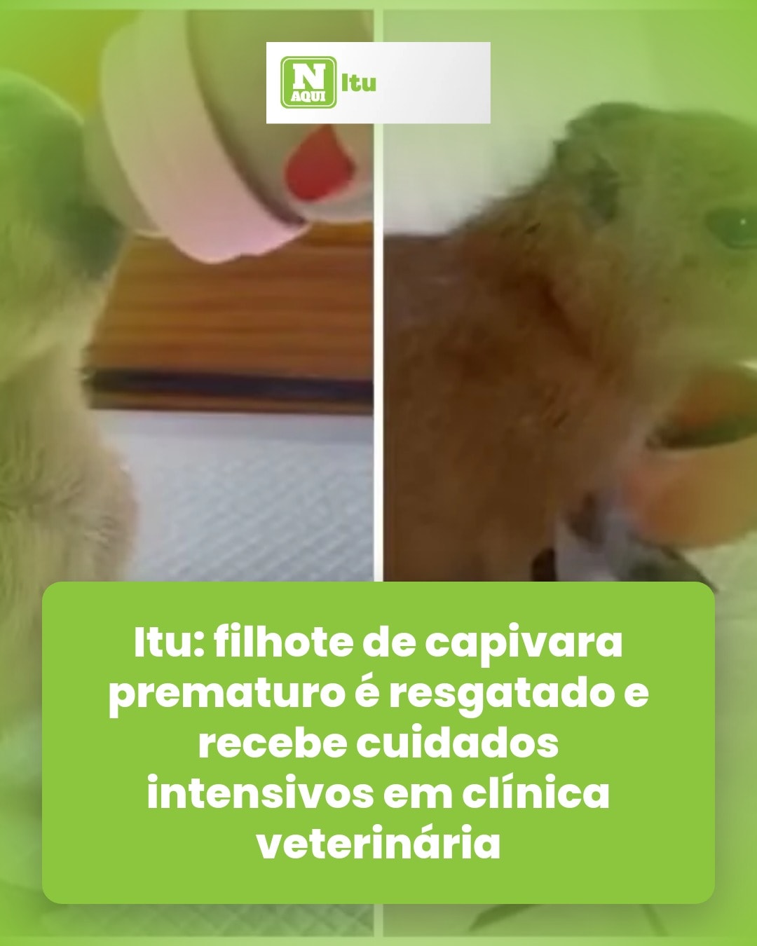 cliente_1-1776260147772.jpg
