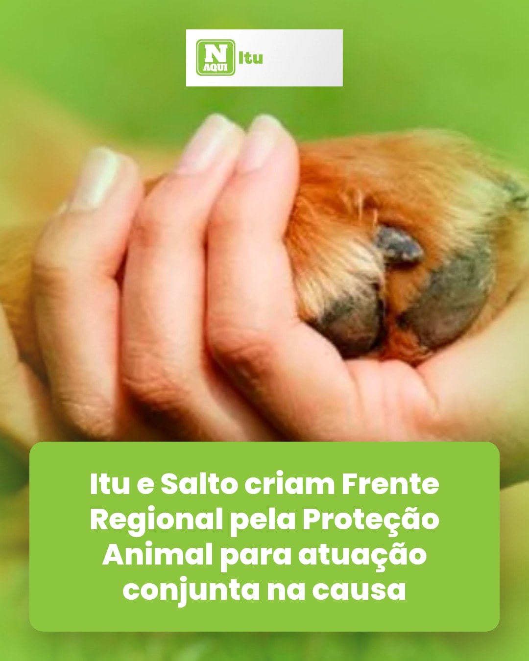 cliente_1-1776261346619.jpg