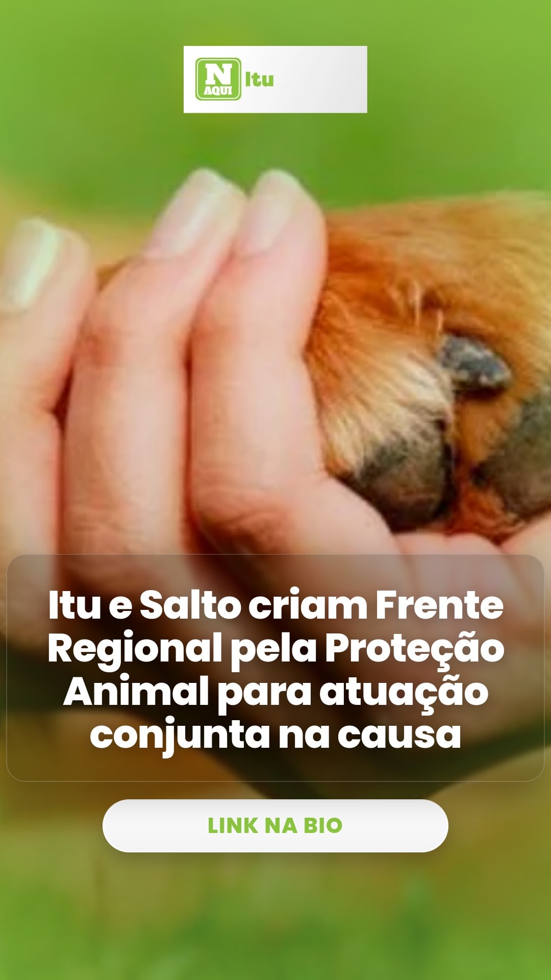cliente_1-1776261366117.jpg