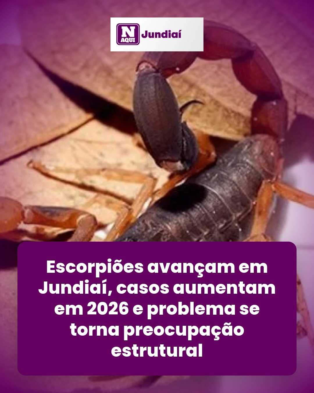 cliente_1-1776340606716.jpg