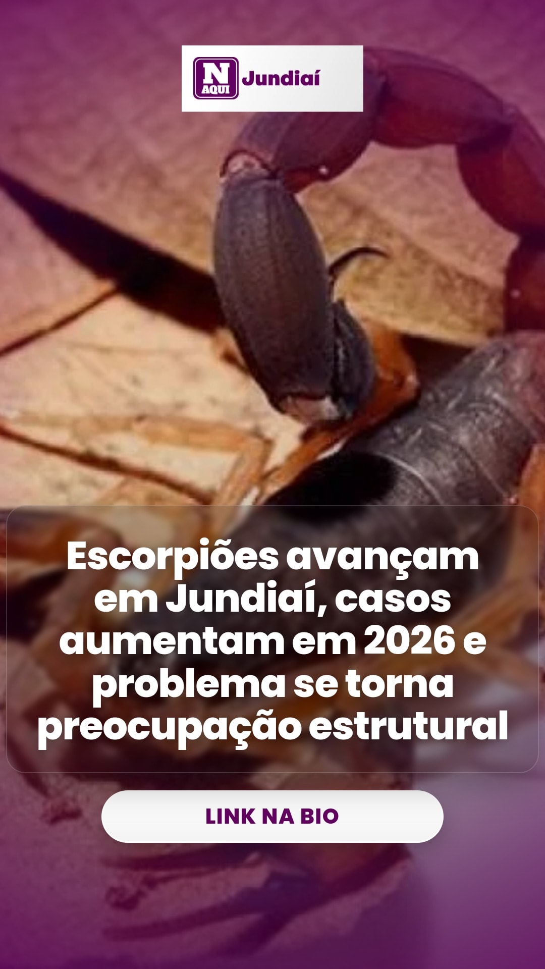 cliente_1-1776340625453.jpg