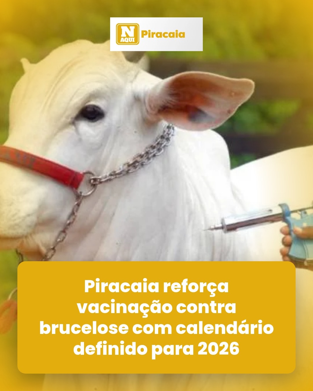 cliente_1-1776347087060.jpg