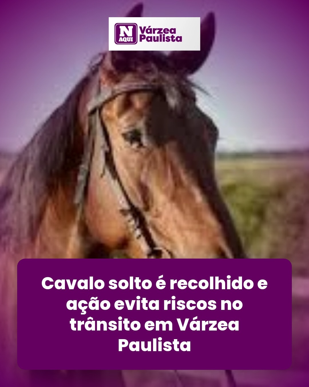cliente_1-1776359692869.jpg