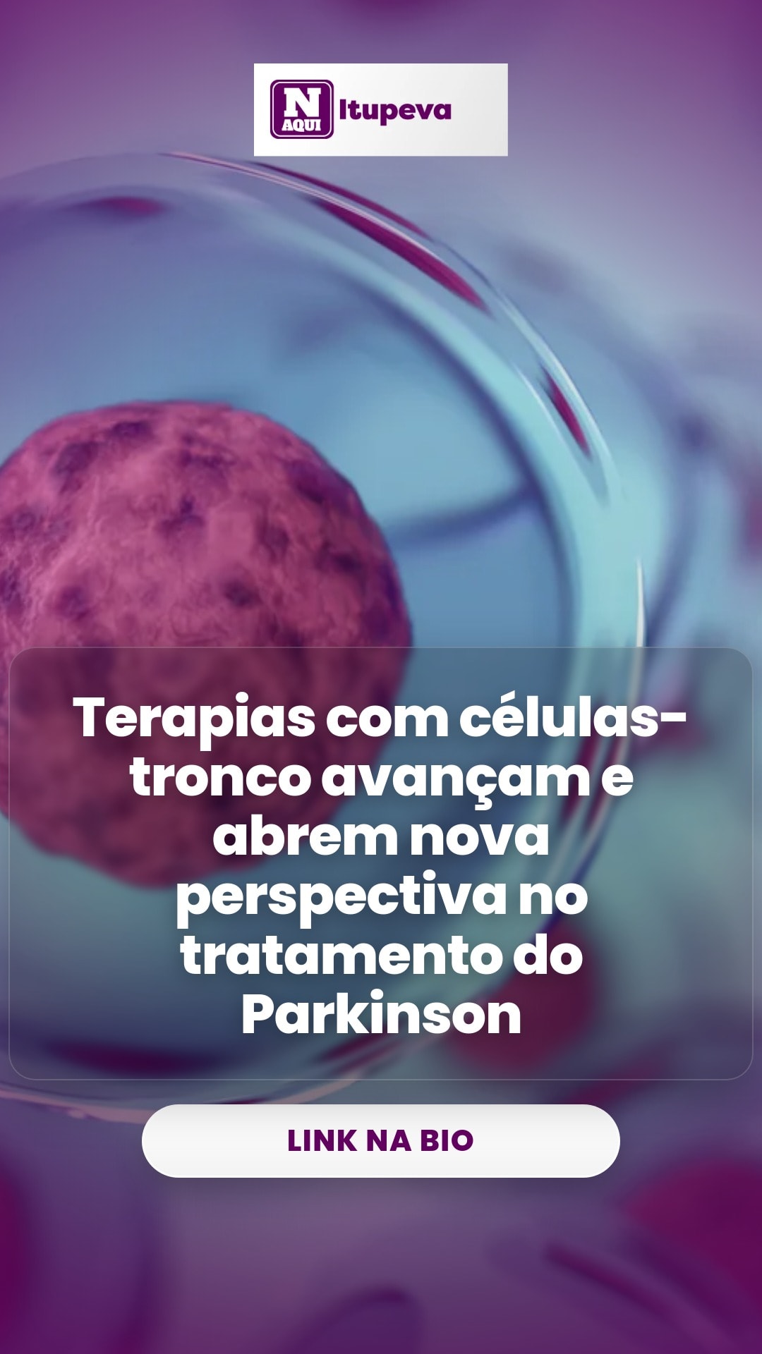 cliente_1-1776363199228.jpg