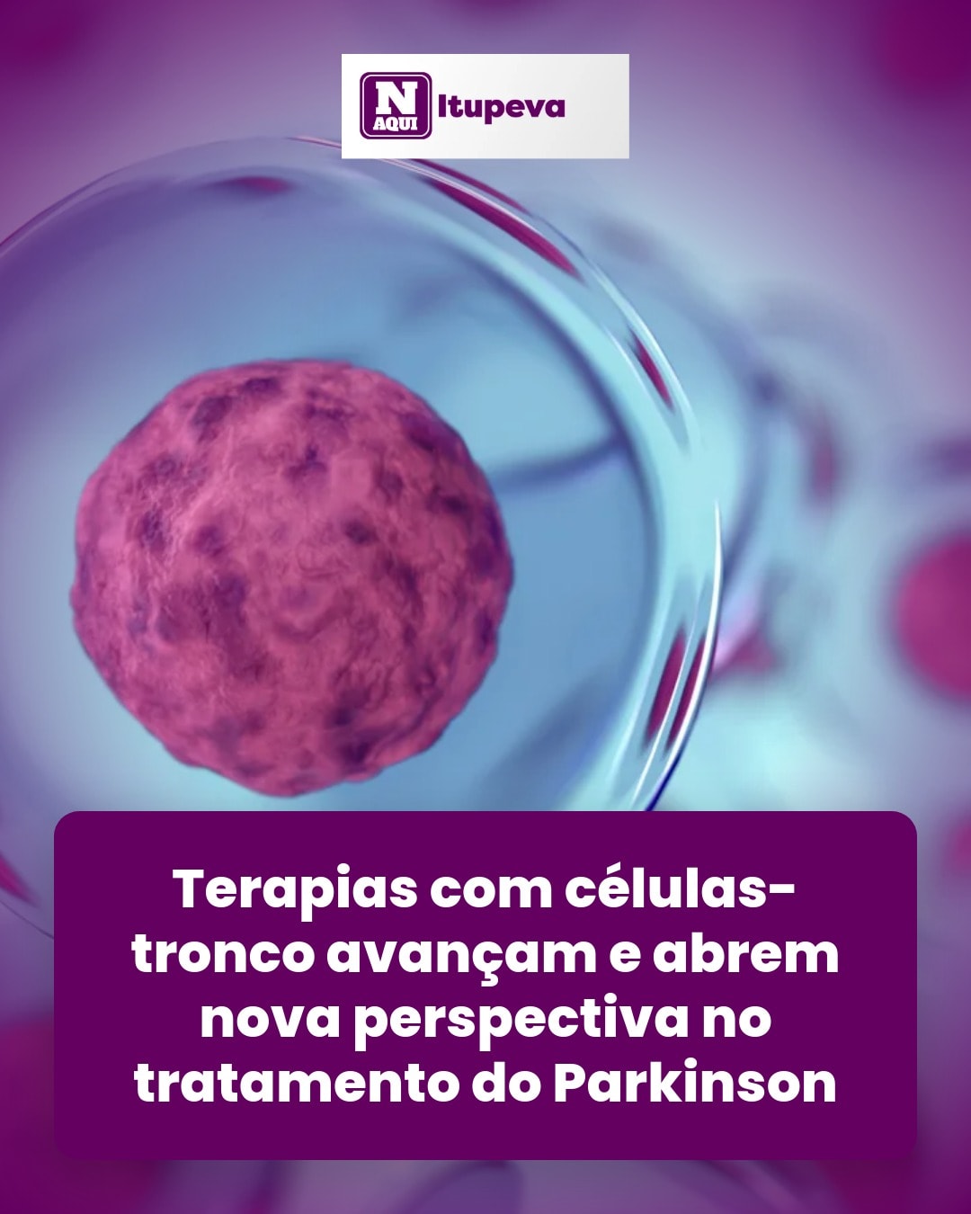 cliente_1-1776363211643.jpg