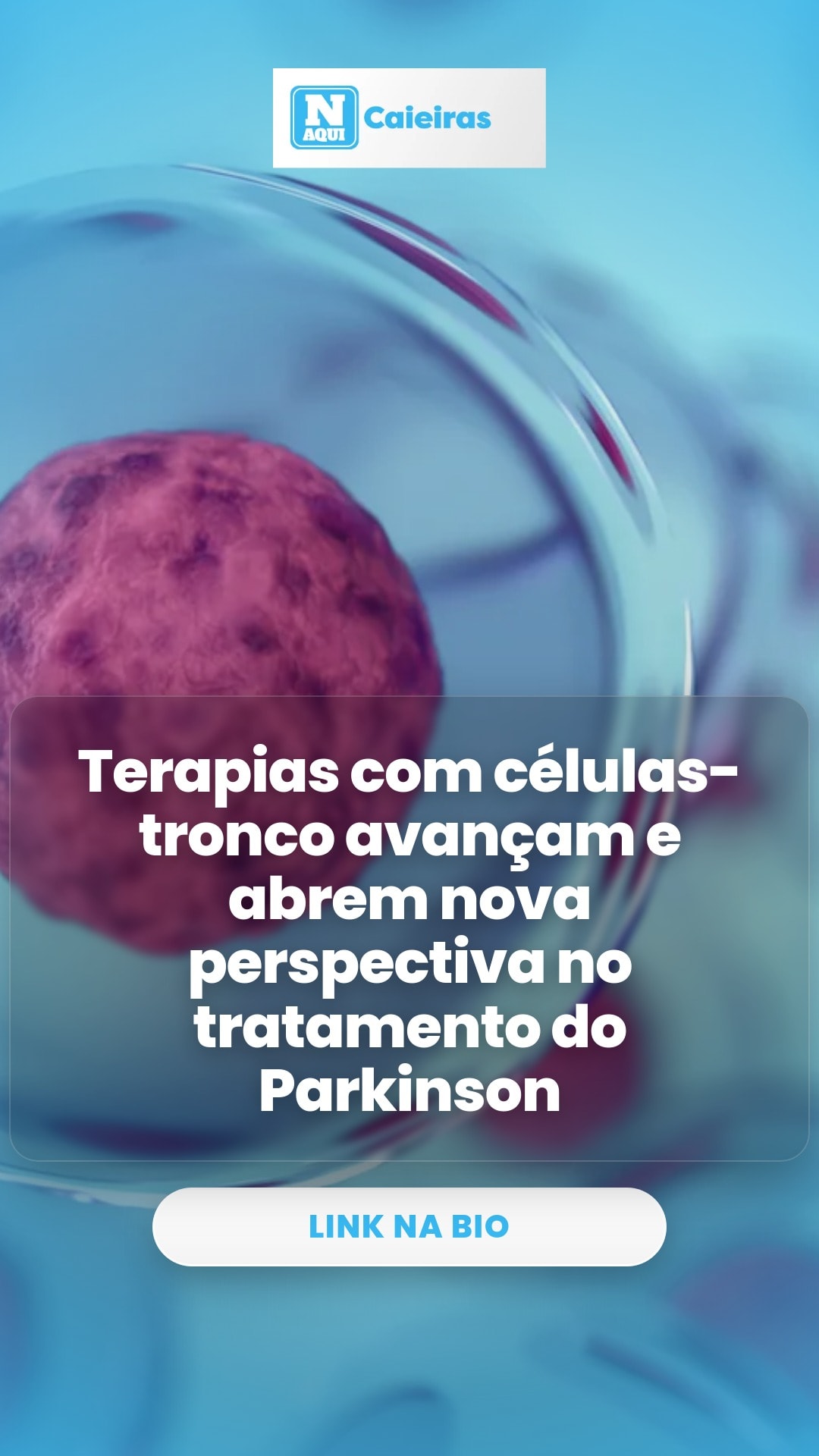cliente_1-1776363235298.jpg