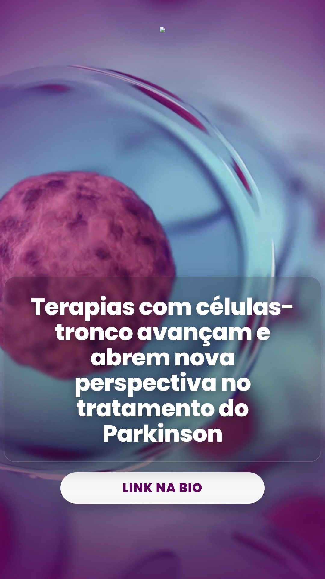 cliente_1-1776363253127.jpg