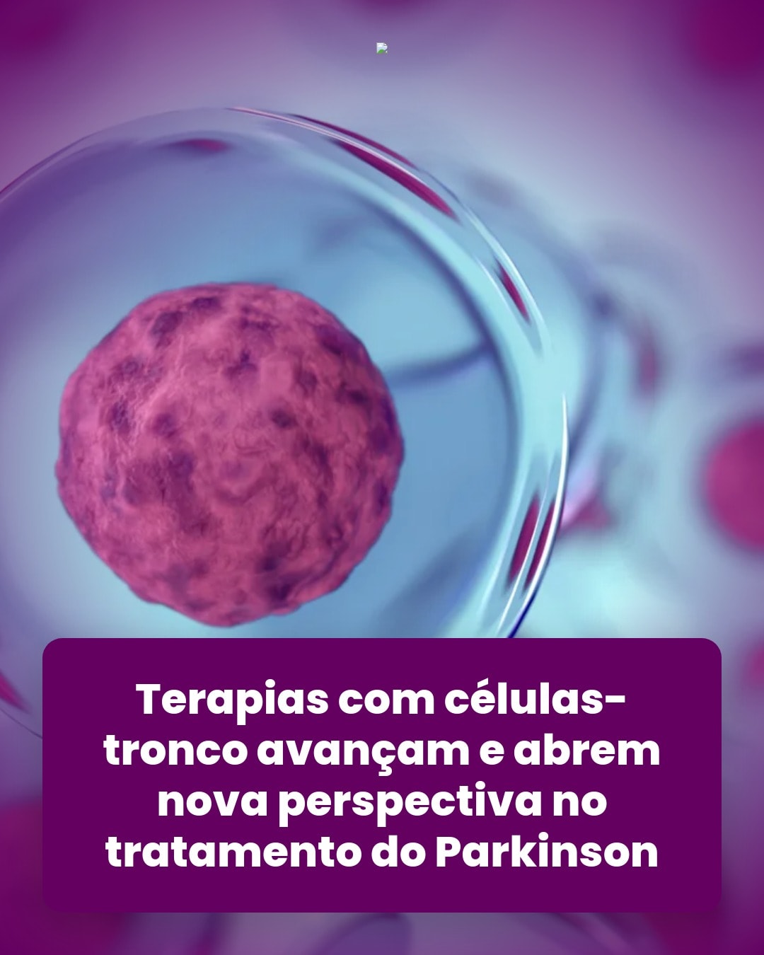 cliente_1-1776363268907.jpg