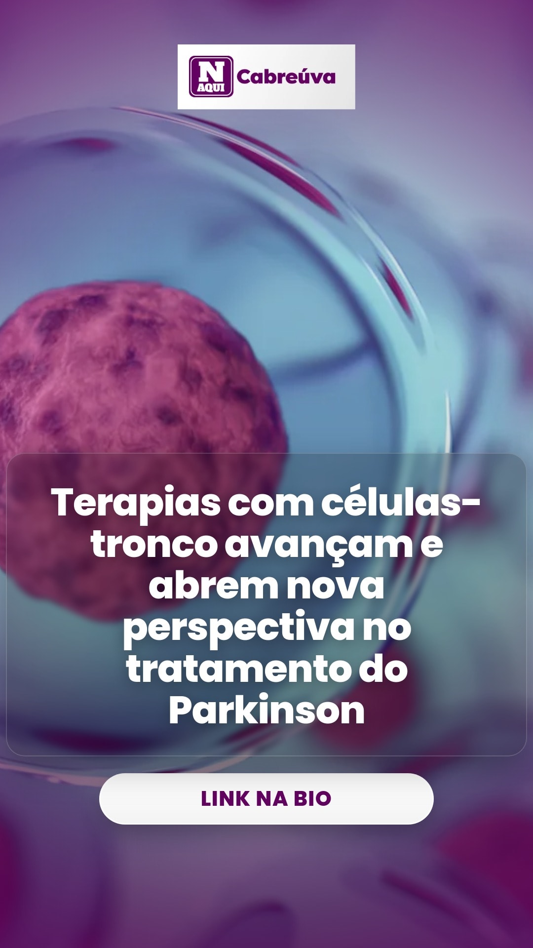 cliente_1-1776363356687.jpg