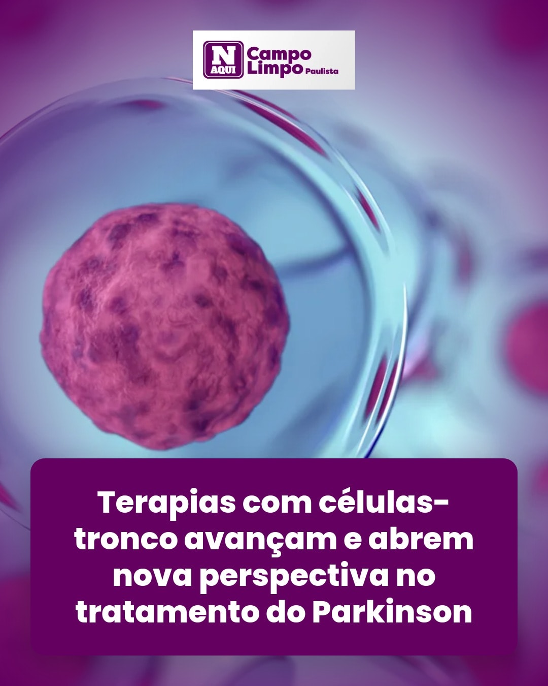 cliente_1-1776363384782.jpg