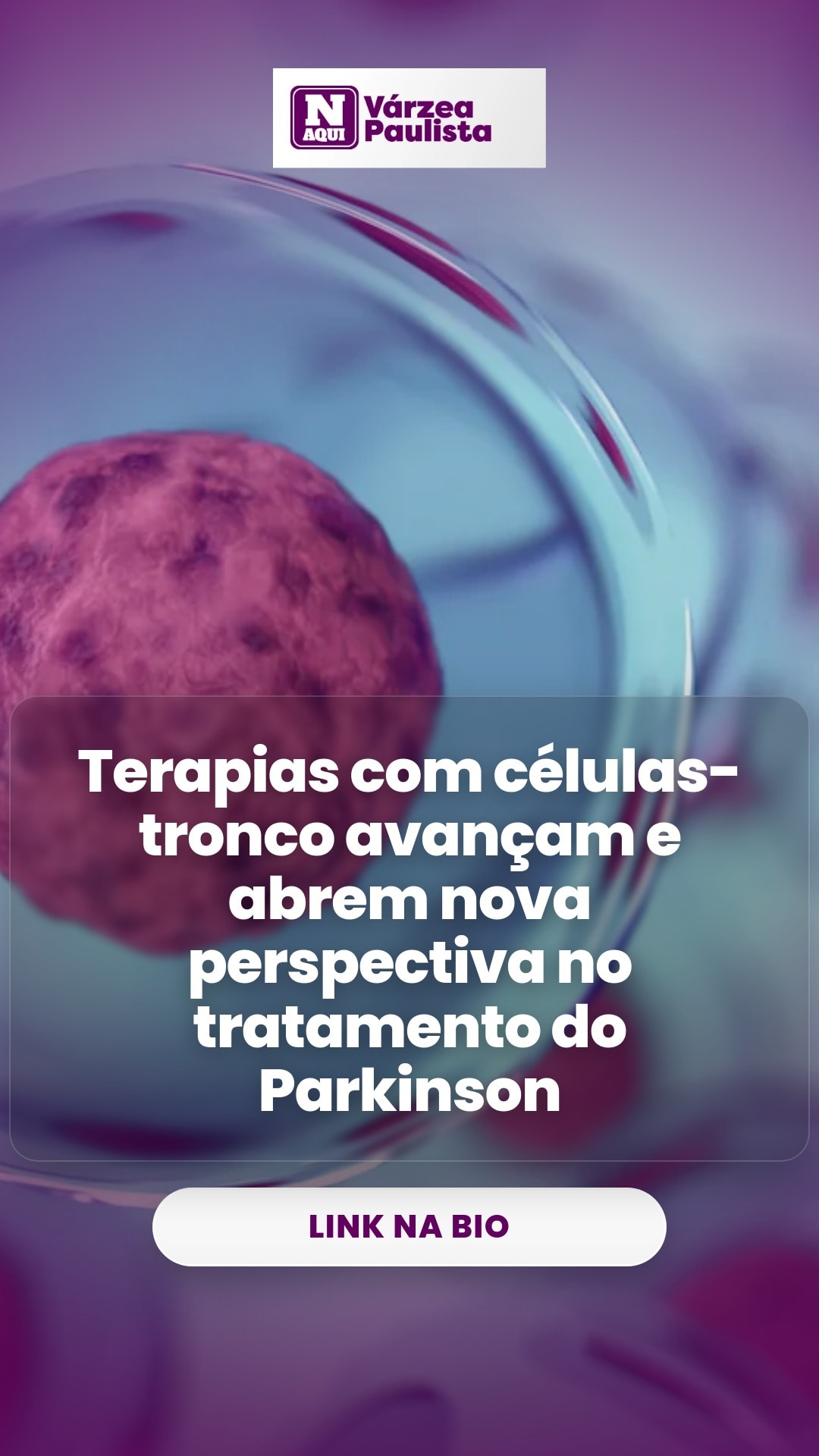cliente_1-1776363485820.jpg