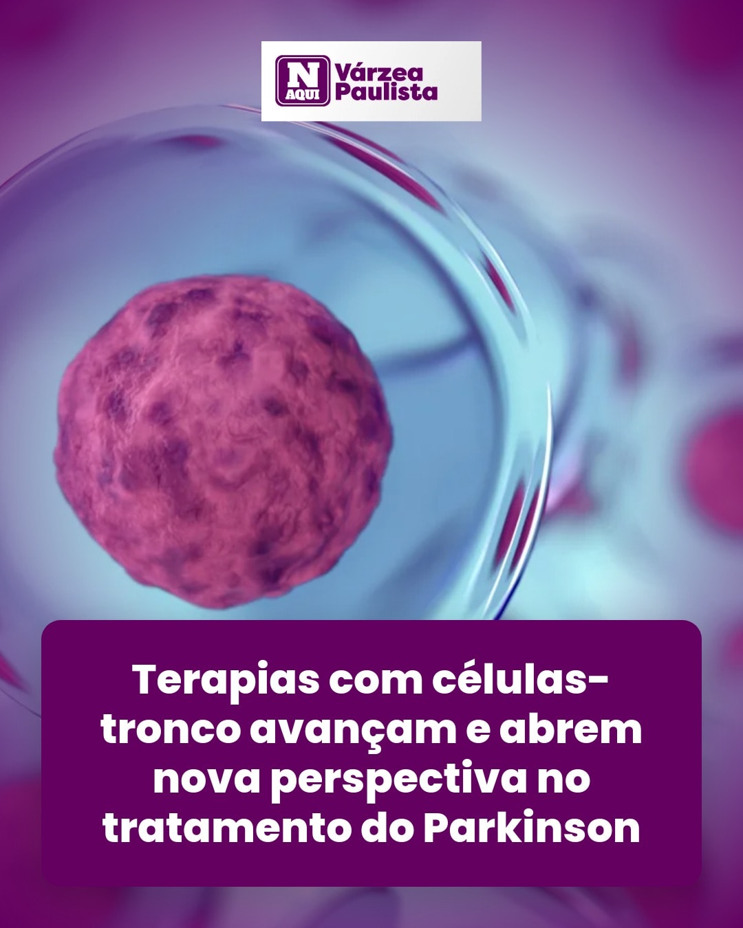 cliente_1-1776363504353.jpg