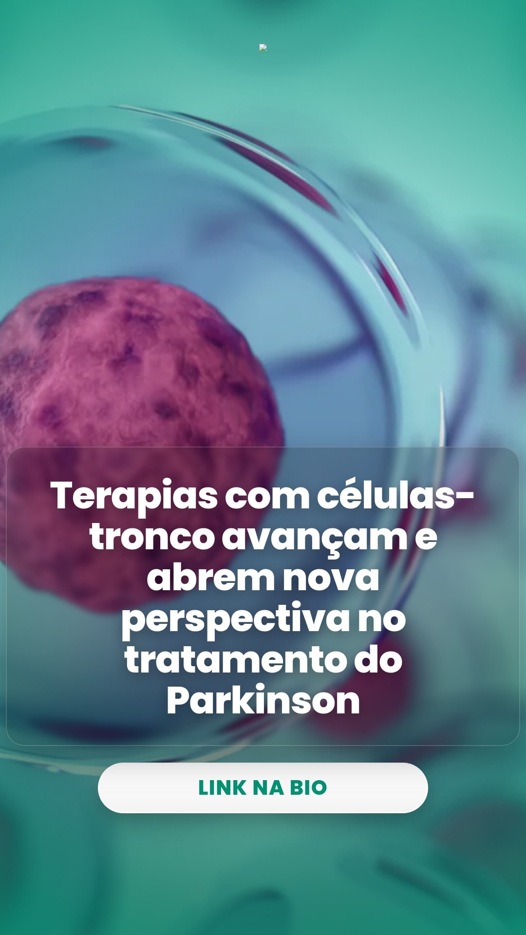 cliente_1-1776363510235.jpg