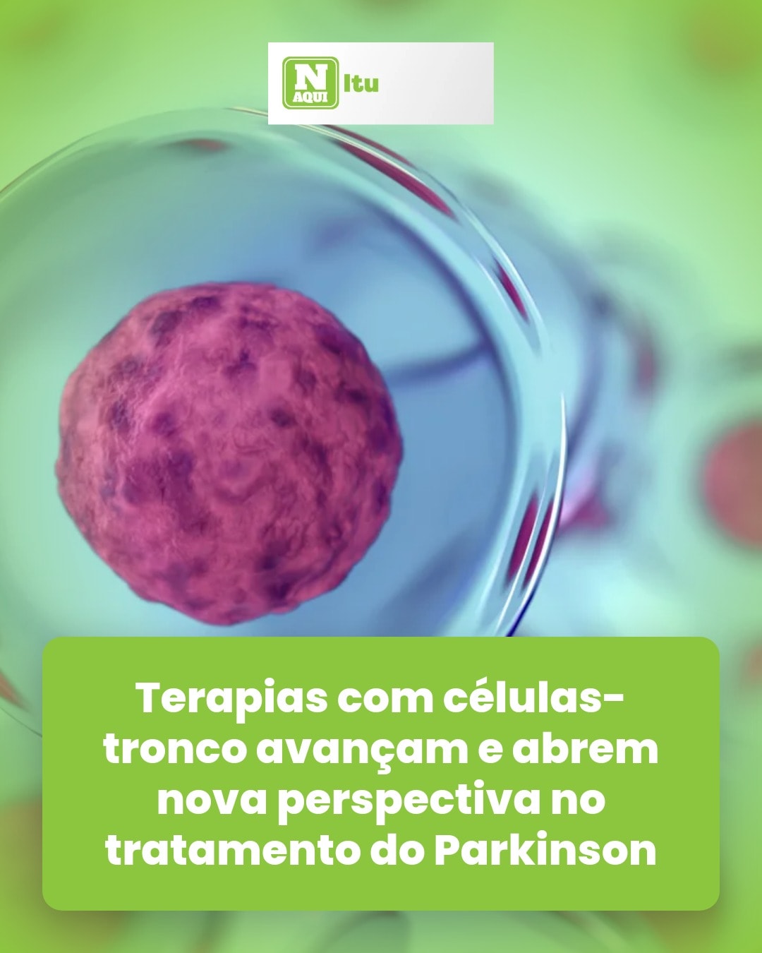 cliente_1-1776363603238.jpg