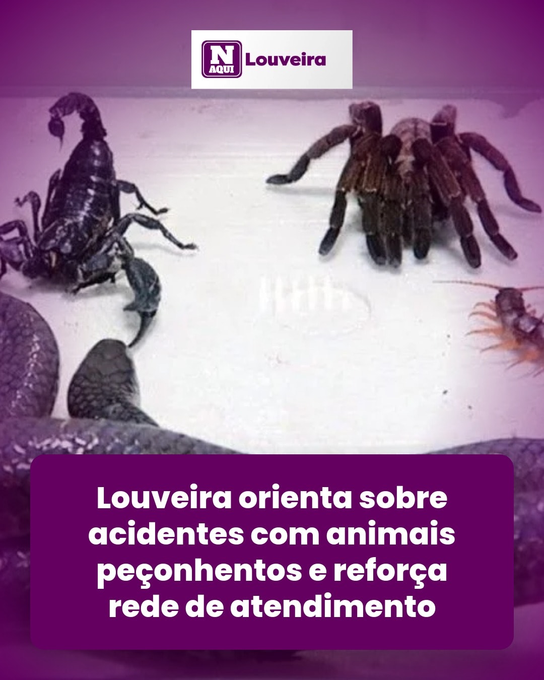 cliente_1-1776452412215.jpg