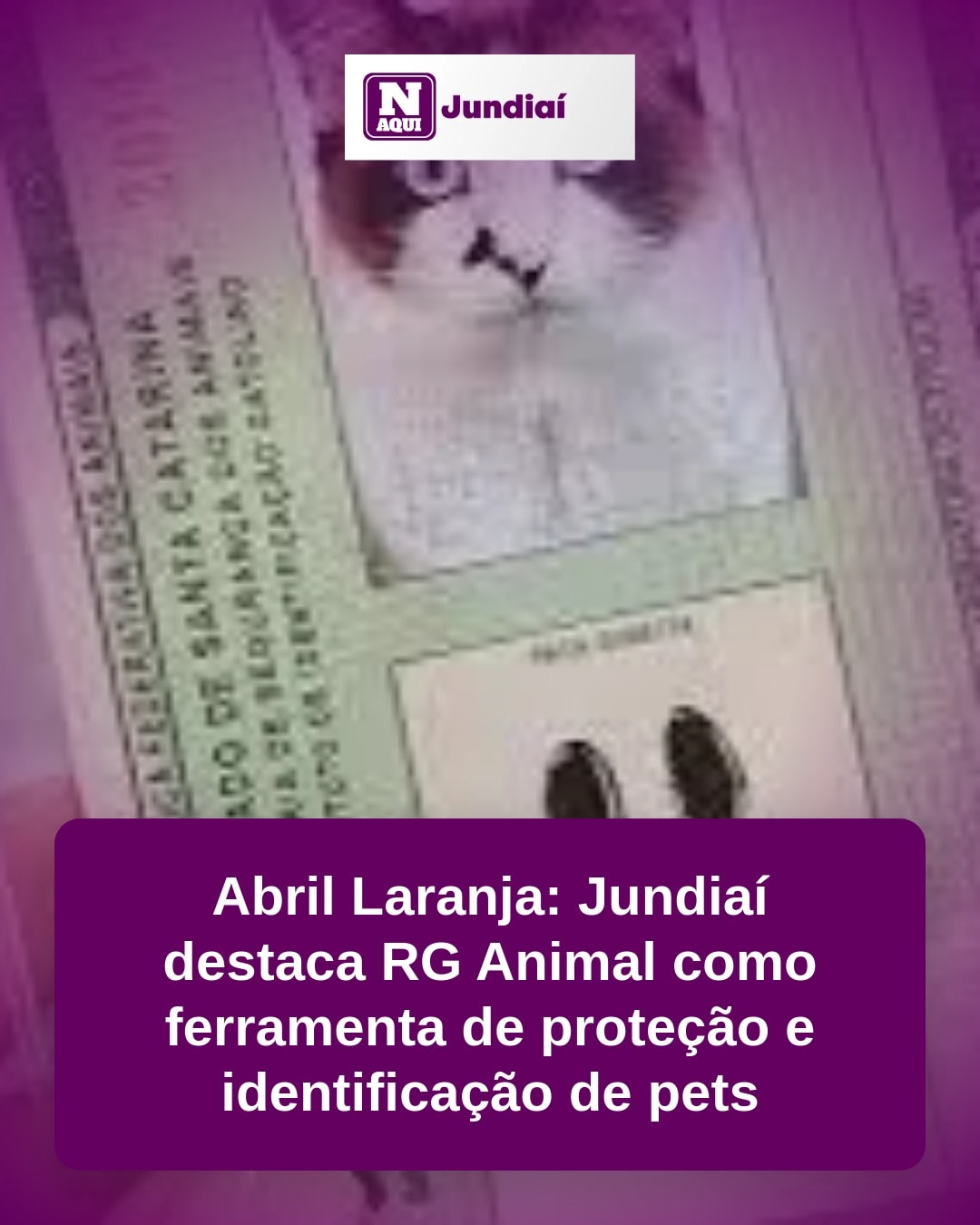 cliente_1-1776721327594.jpg