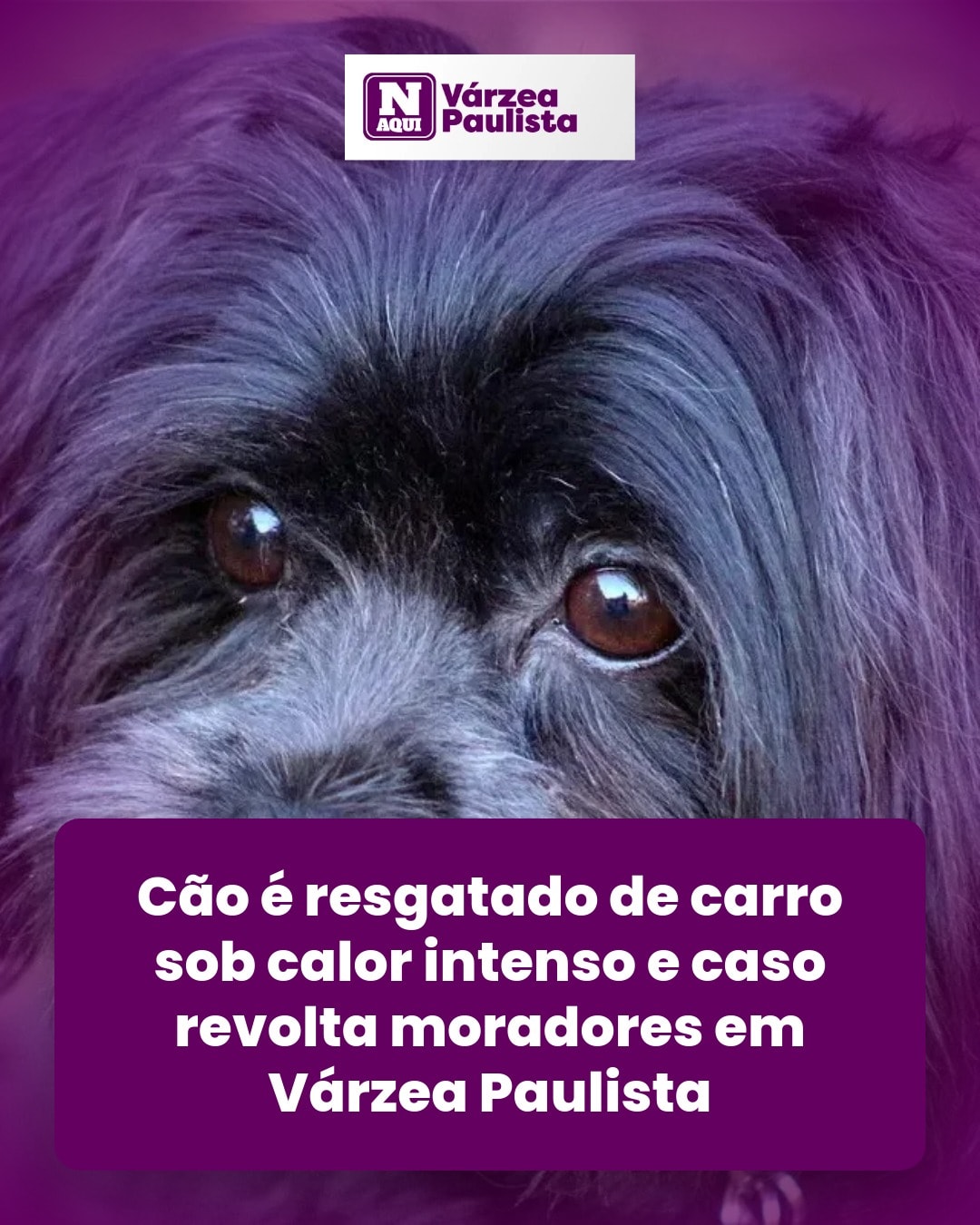 cliente_1-1776812233323.jpg