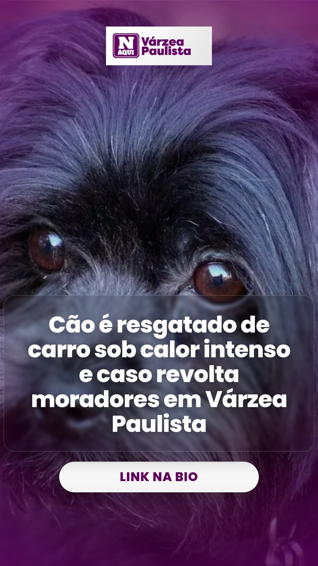 cliente_1-1776812258920.jpg