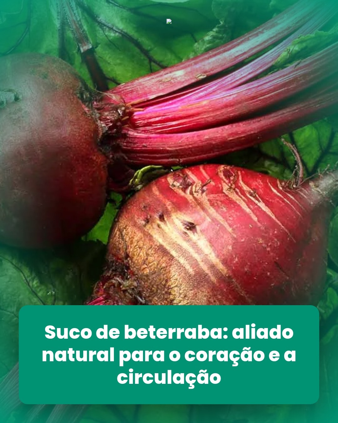 cliente_1-1776819849023.jpg