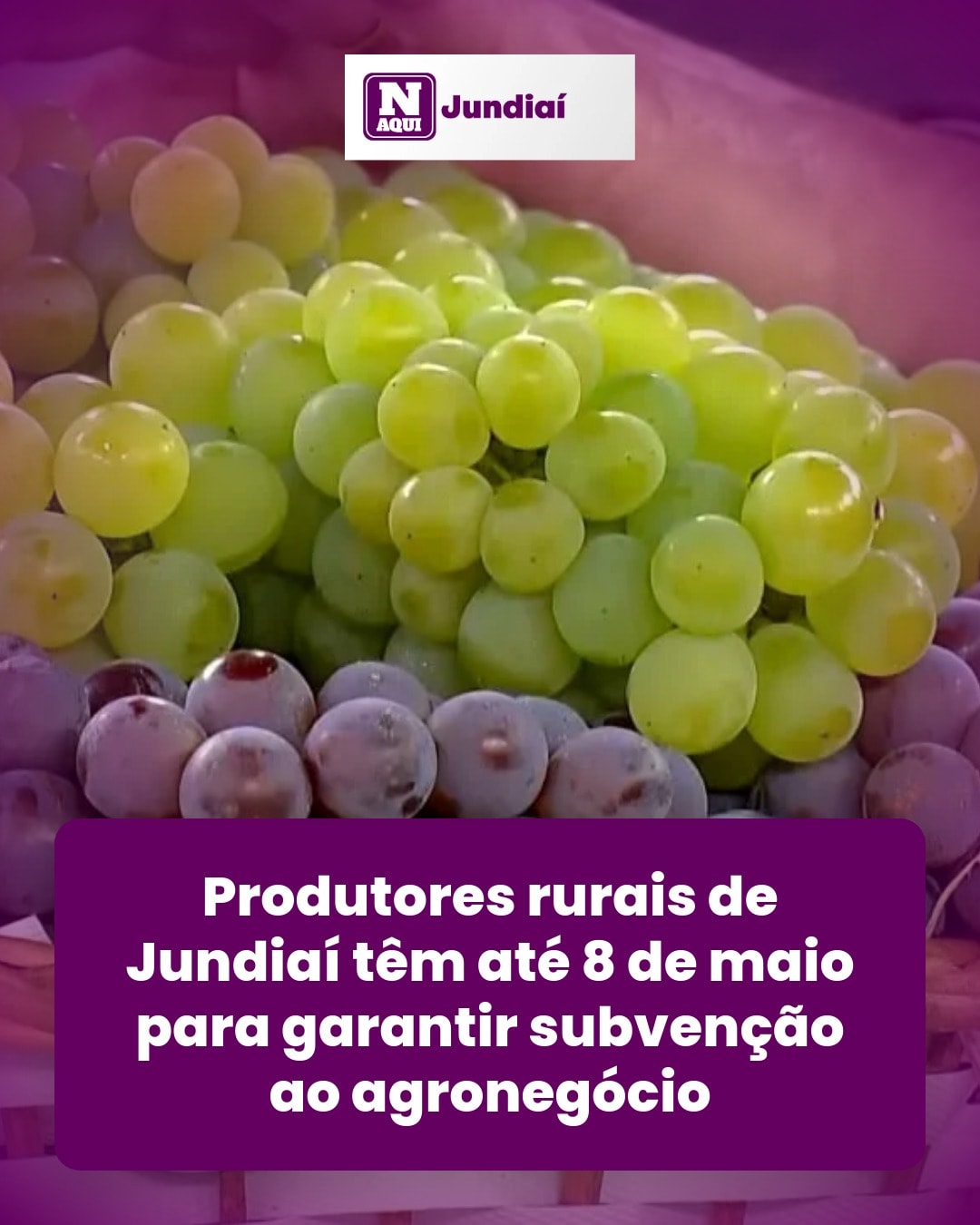 cliente_1-1776861671761.jpg