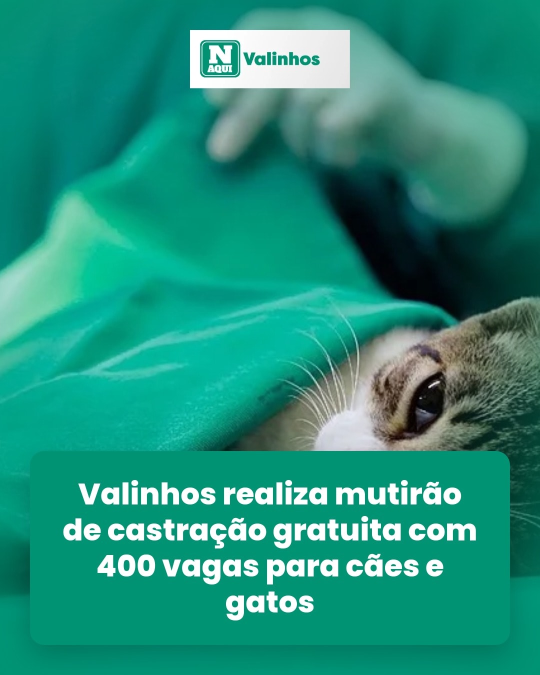 cliente_1-1776951789952.jpg