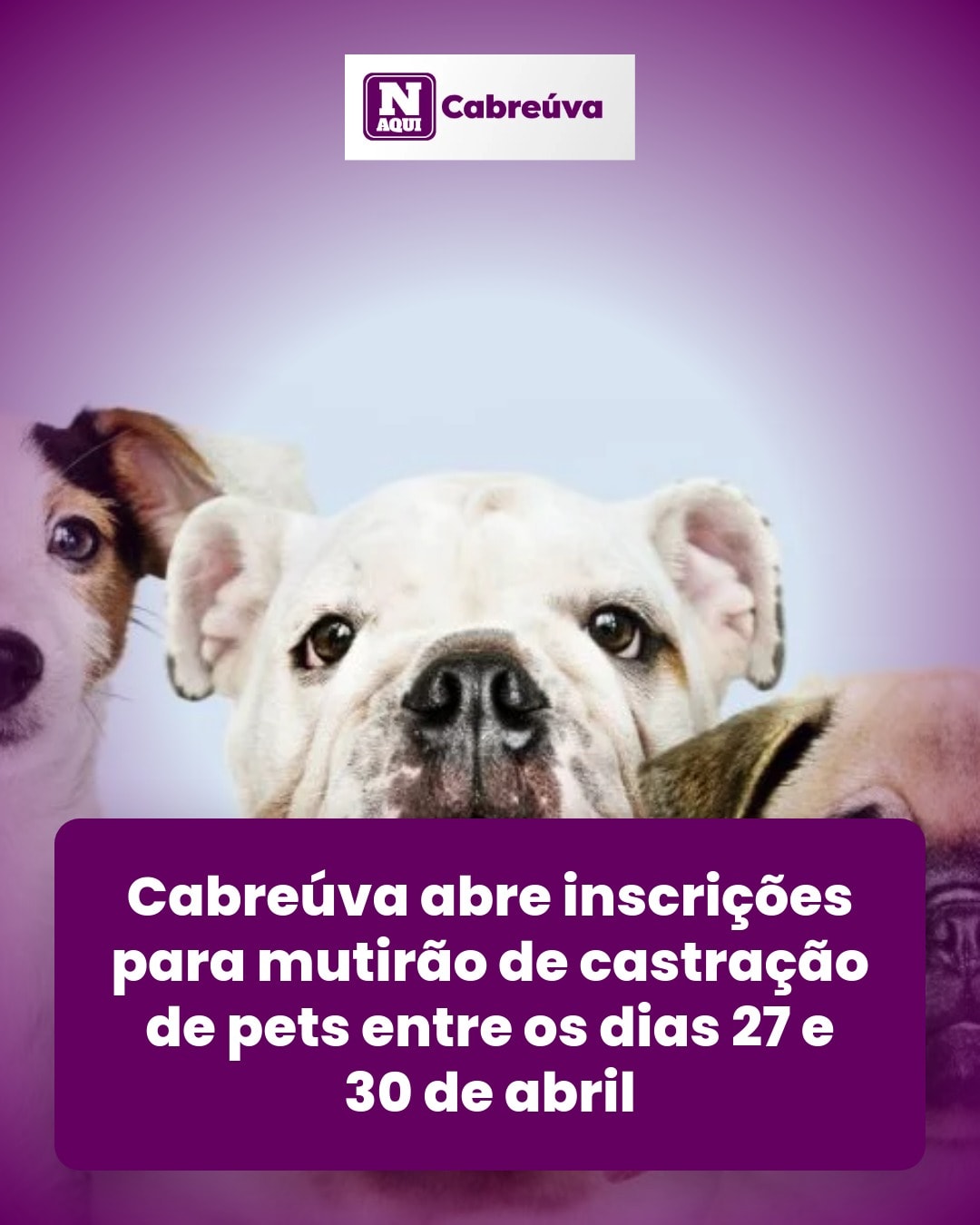 cliente_1-1777053310121.jpg