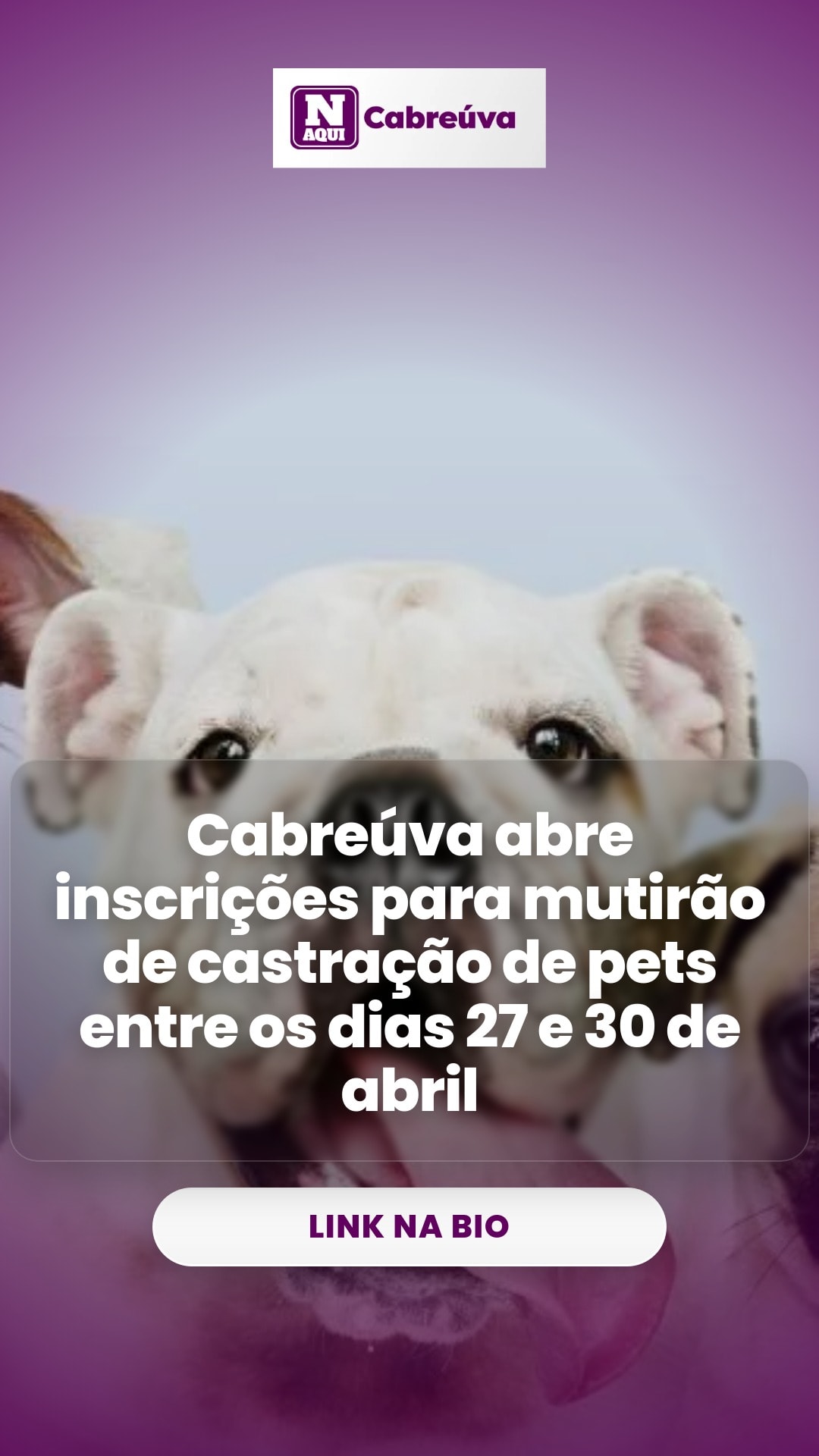 cliente_1-1777053331223.jpg
