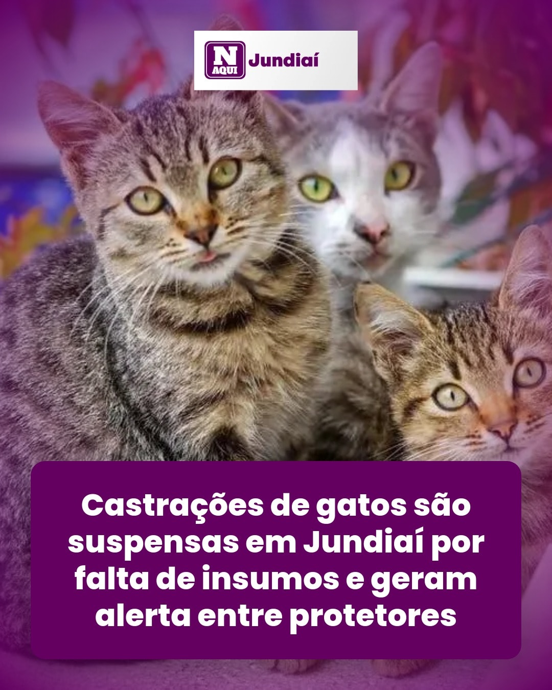 cliente_1-1777243413788.jpg