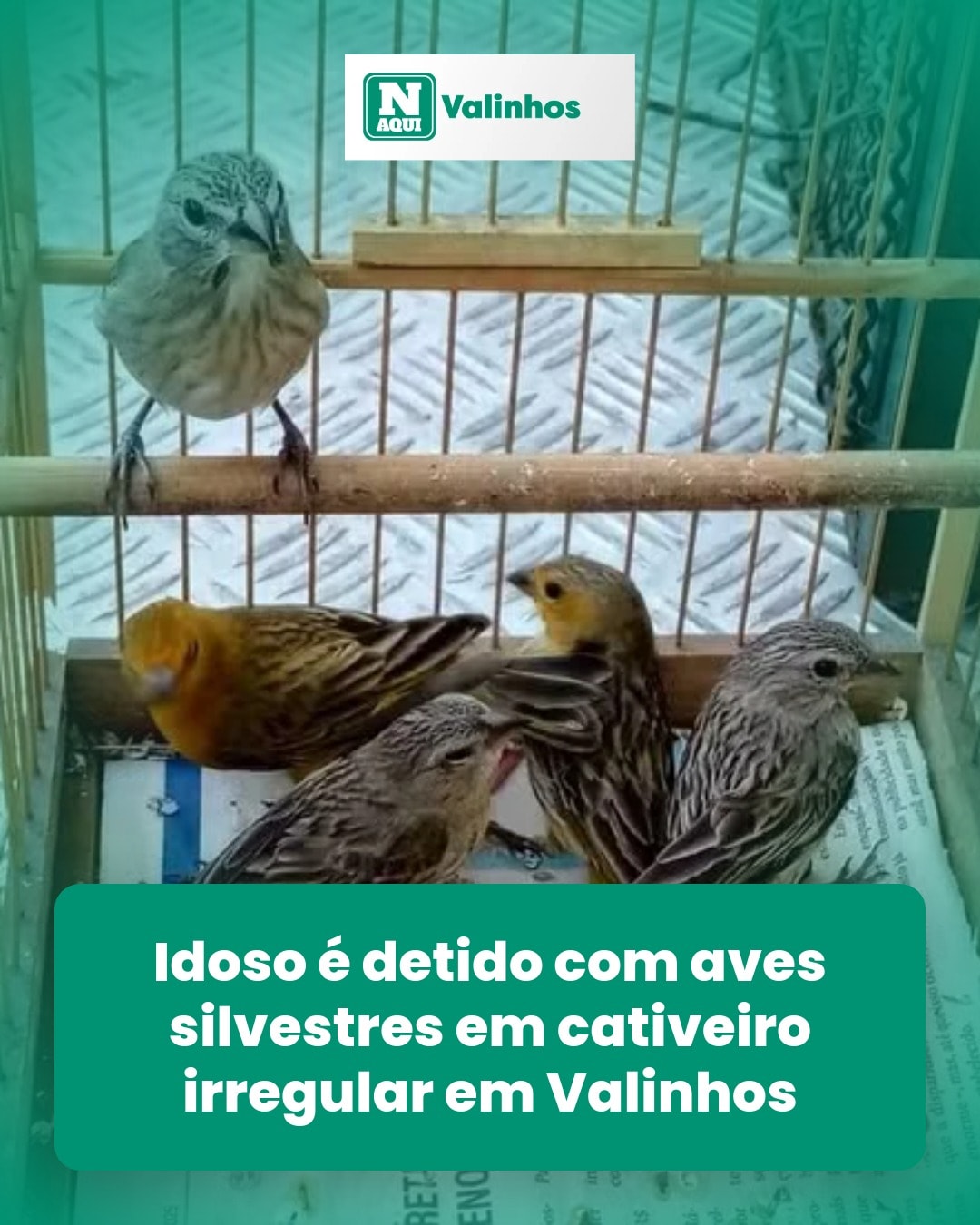 cliente_1-1777245990824.jpg