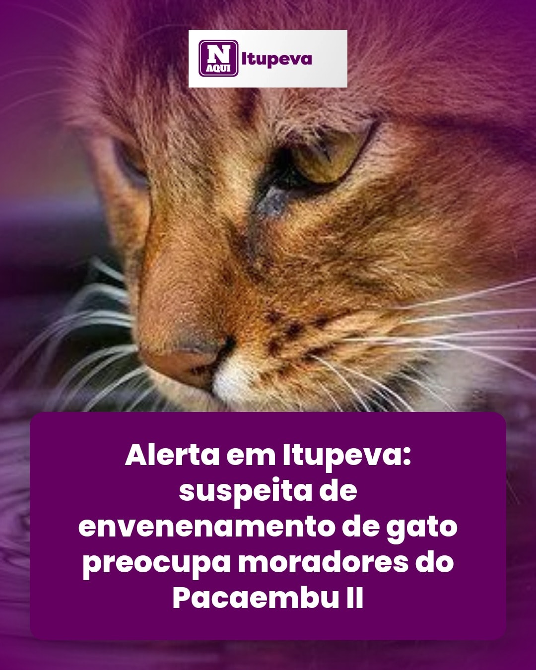 cliente_1-1777300351533.jpg