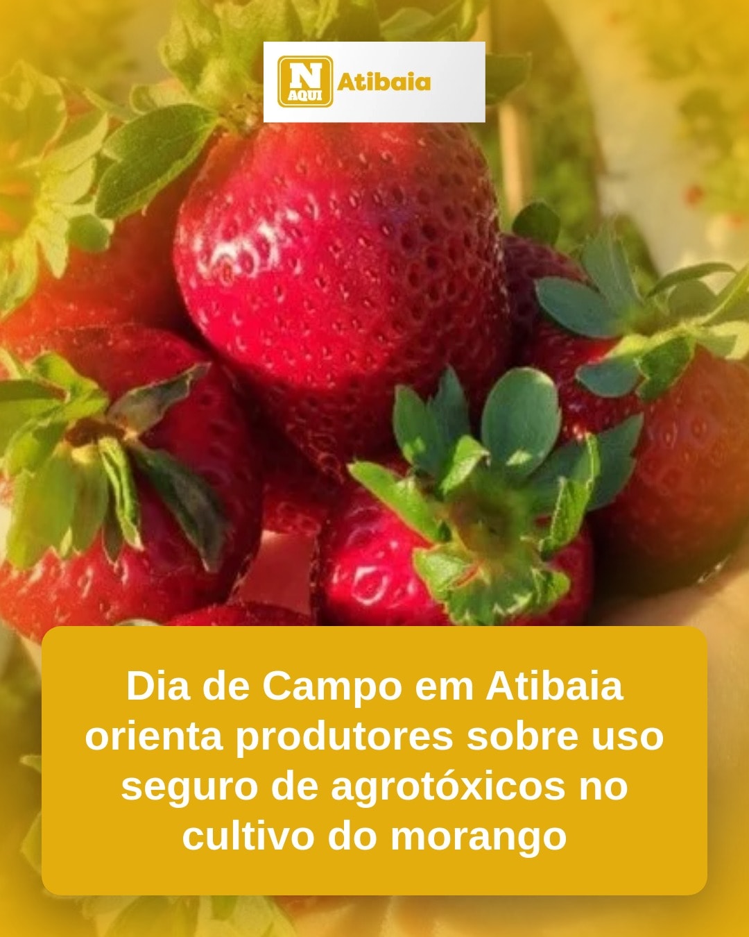 cliente_1-1777386695563.jpg