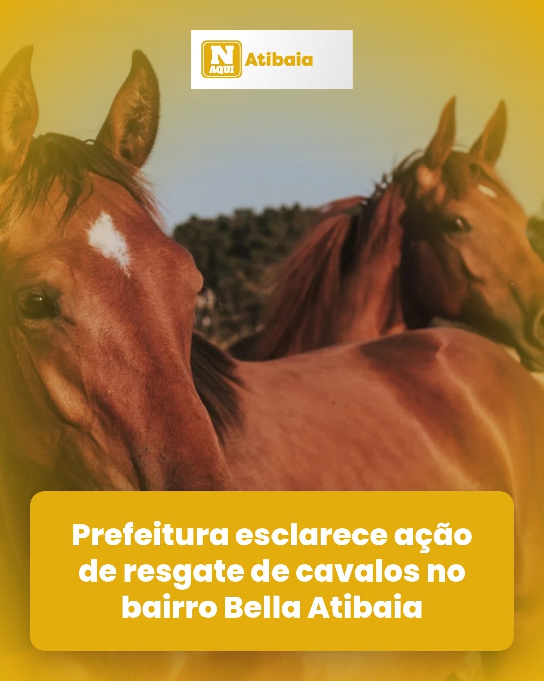 cliente_1-1777469550790.jpg